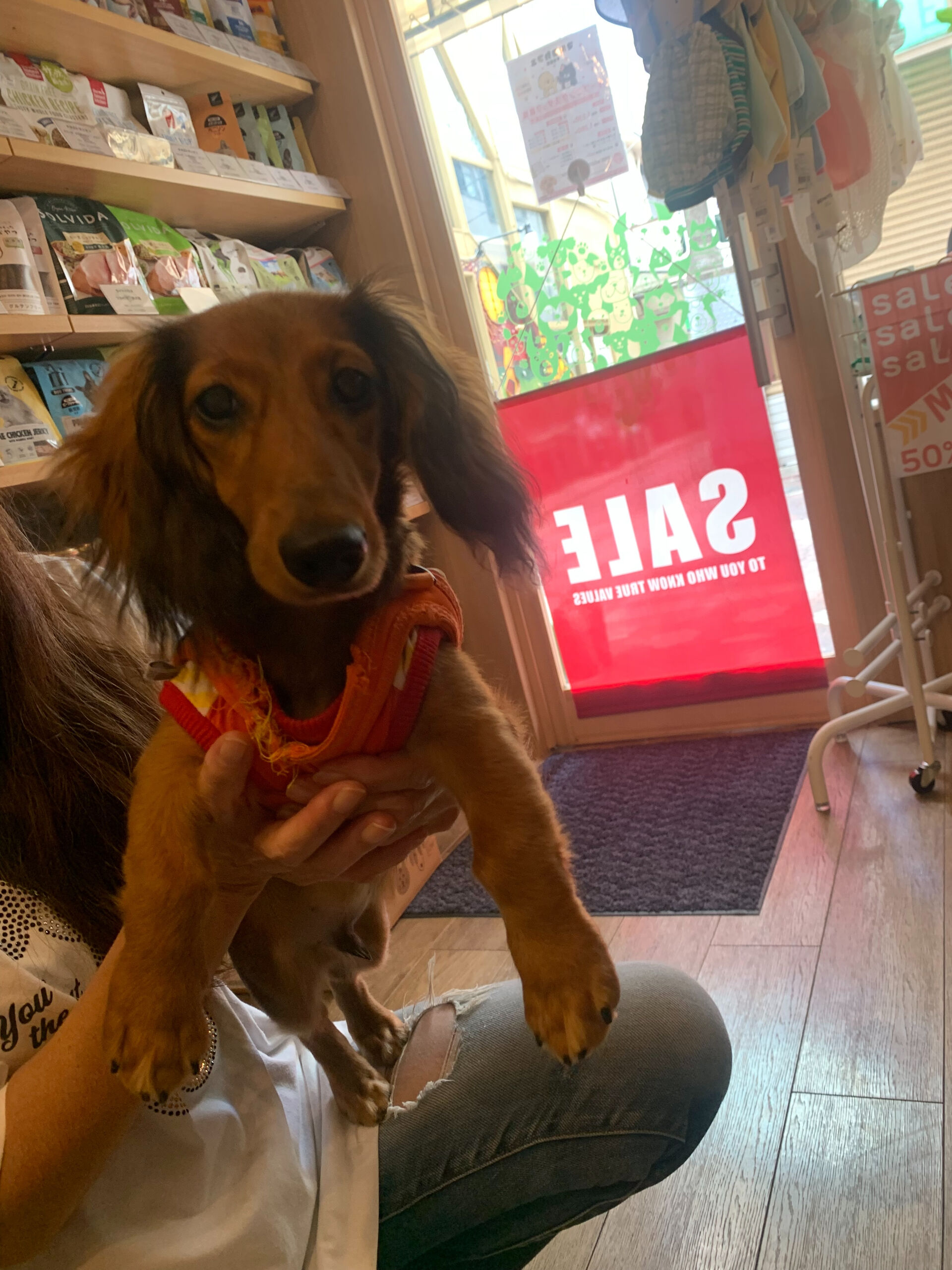 クッキーくんご来店ありがとうございます😊