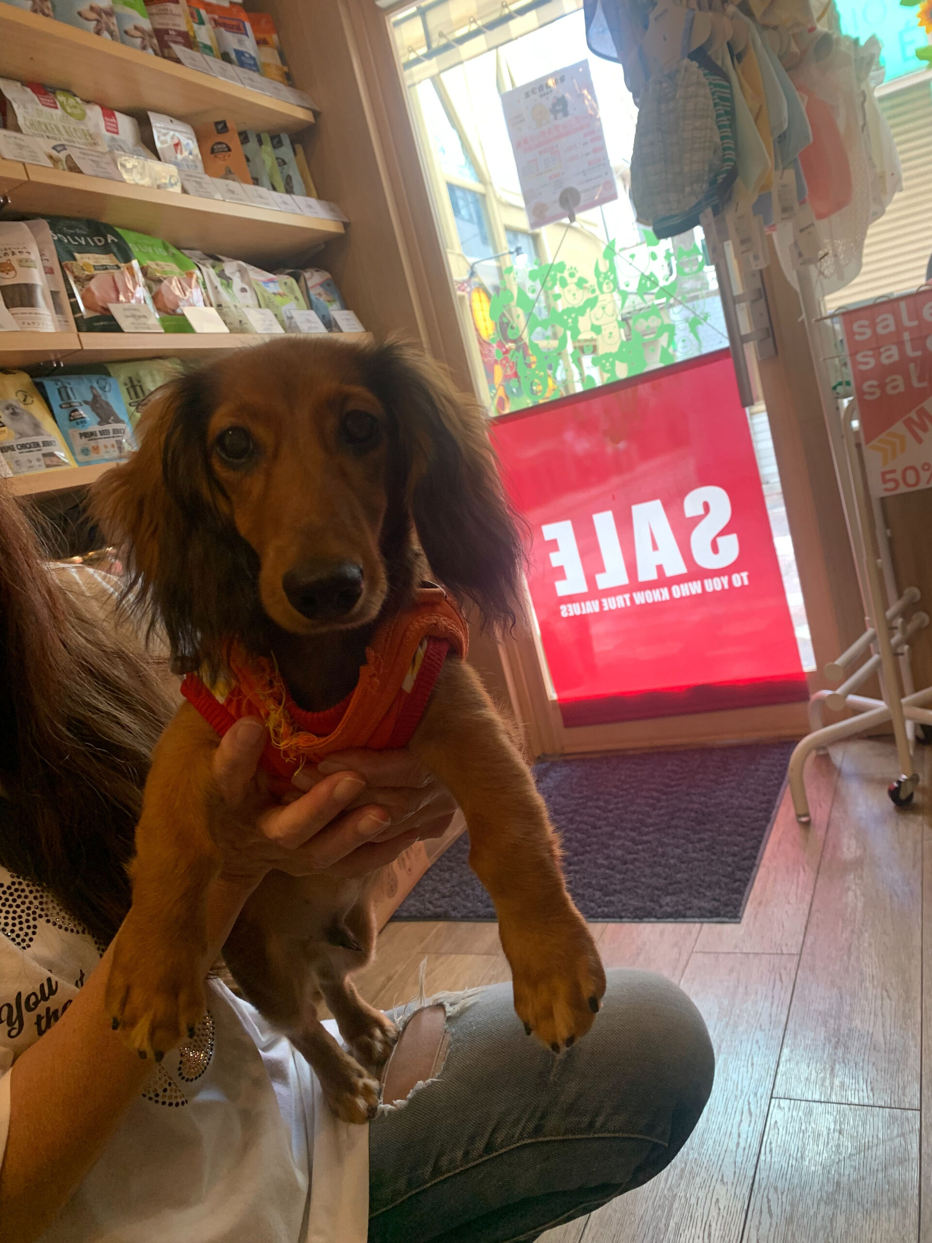 クッキーくんご来店ありがとうございます😊