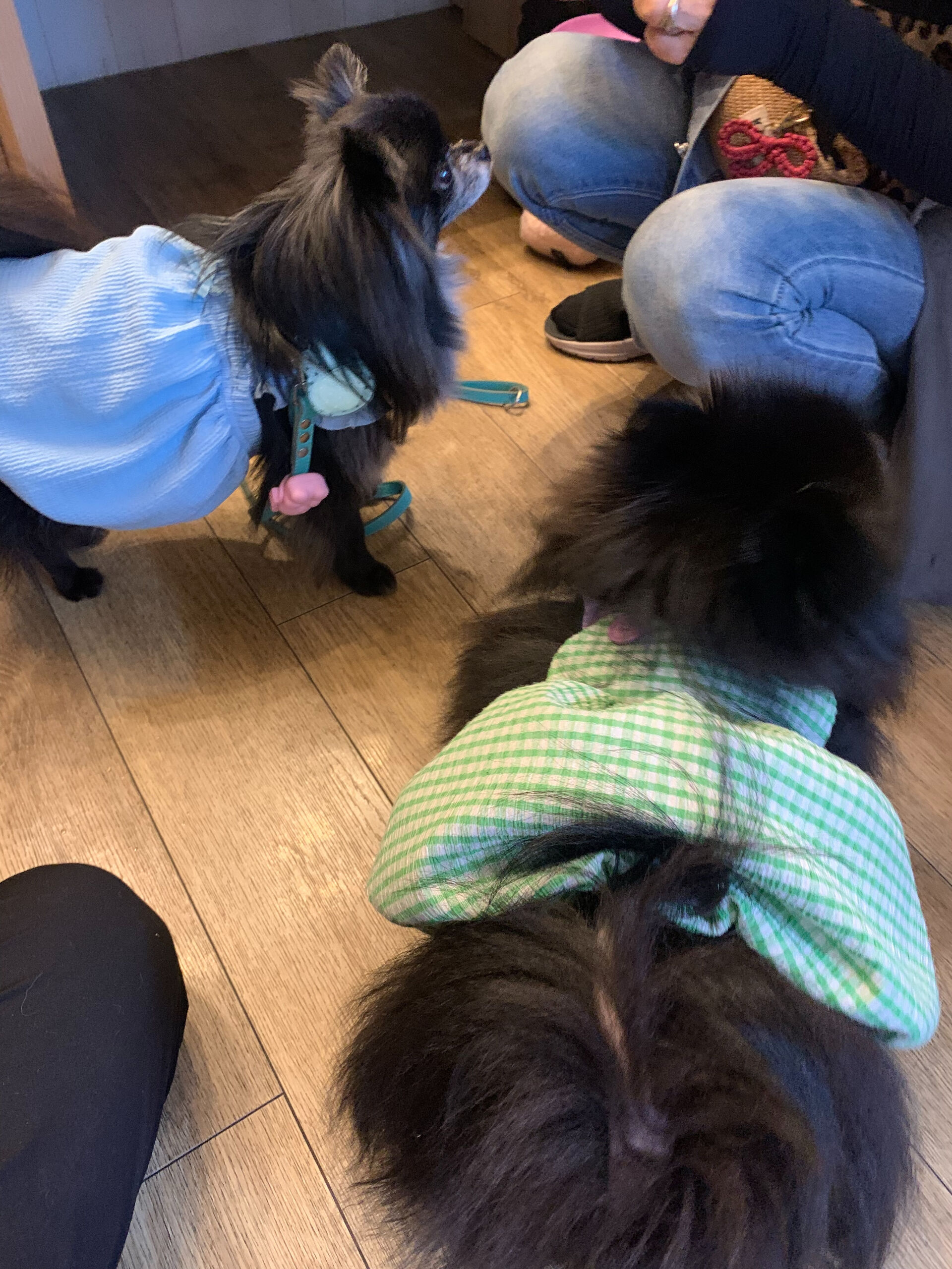 ラナちゃんご来店ありがとうございます😊