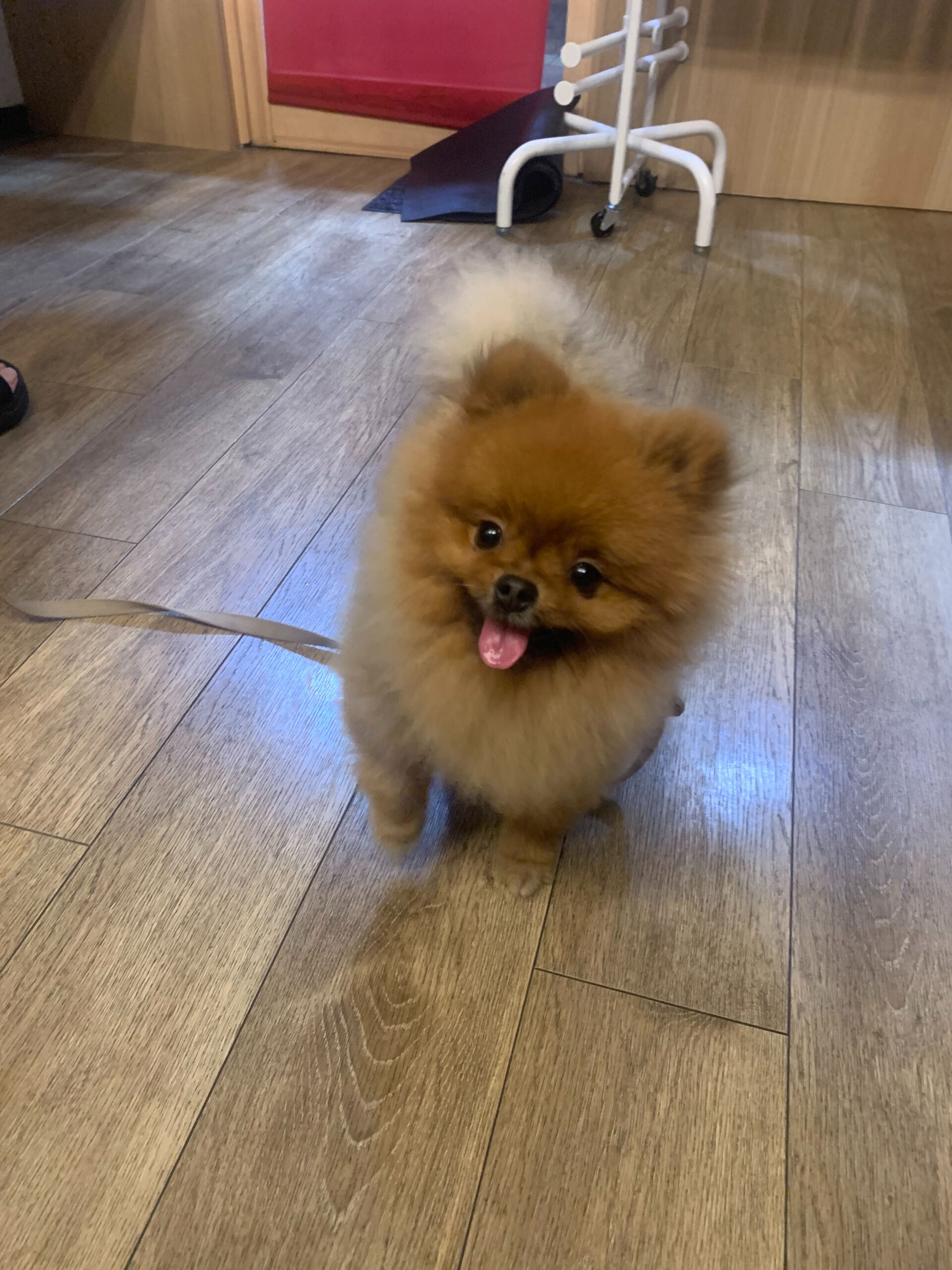 イニちゃんご来店ありがとうございます😊