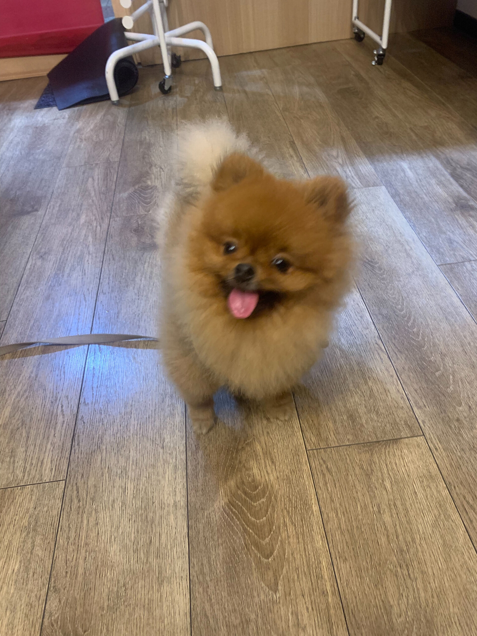 イニちゃんご来店ありがとうございます😊