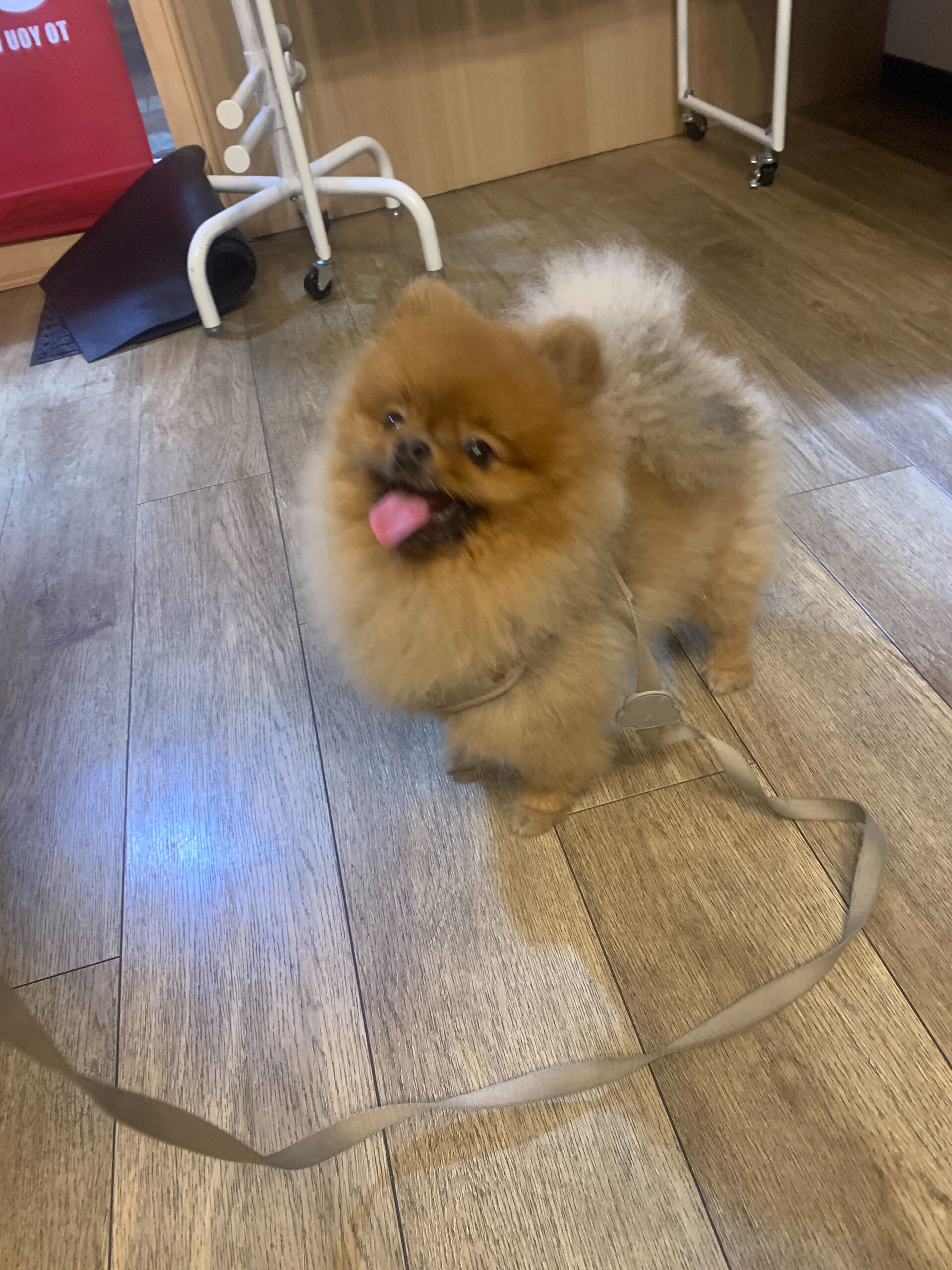 イニちゃんご来店ありがとうございます😊
