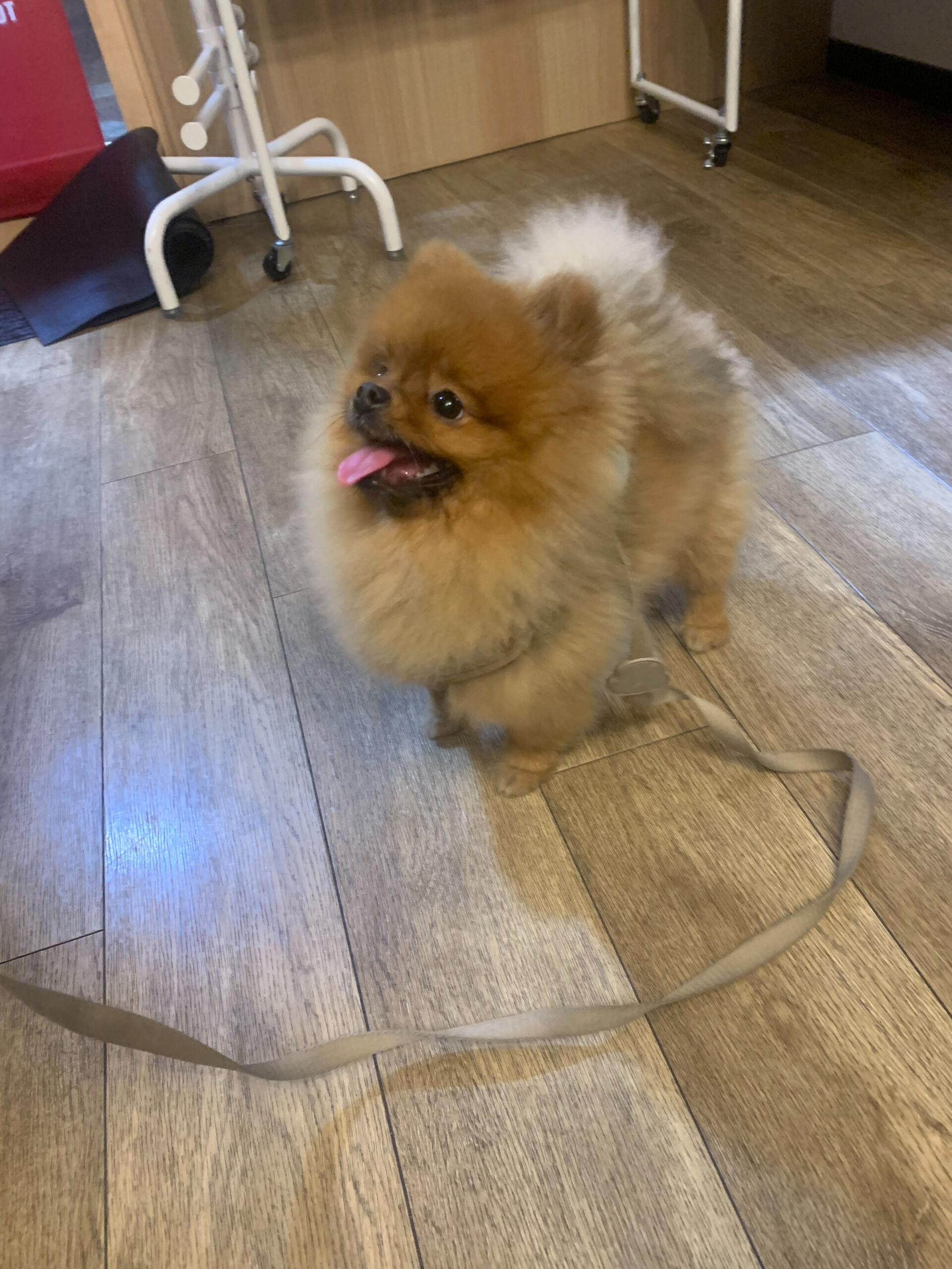 イニちゃんご来店ありがとうございます😊