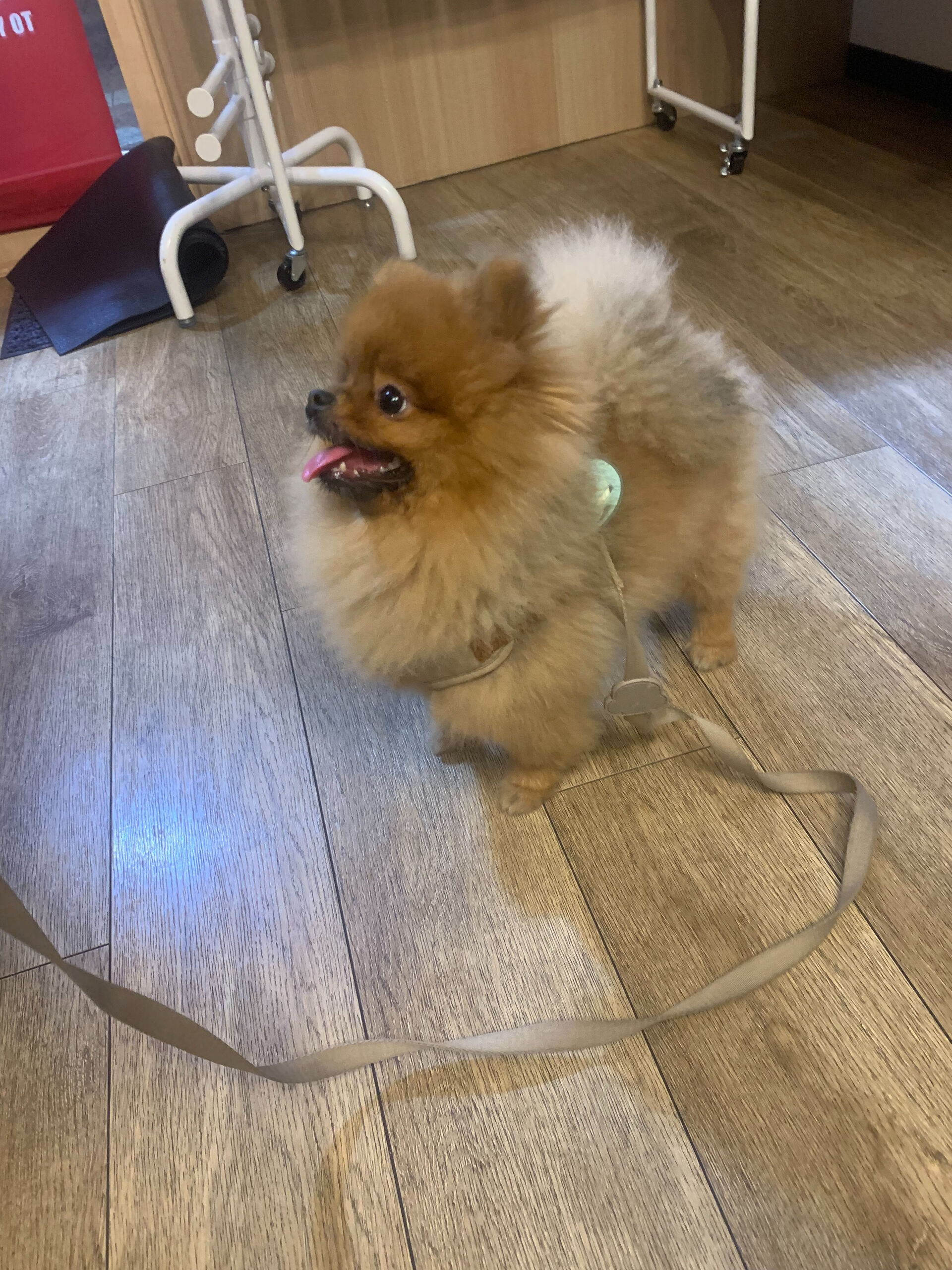 イニちゃんご来店ありがとうございます😊