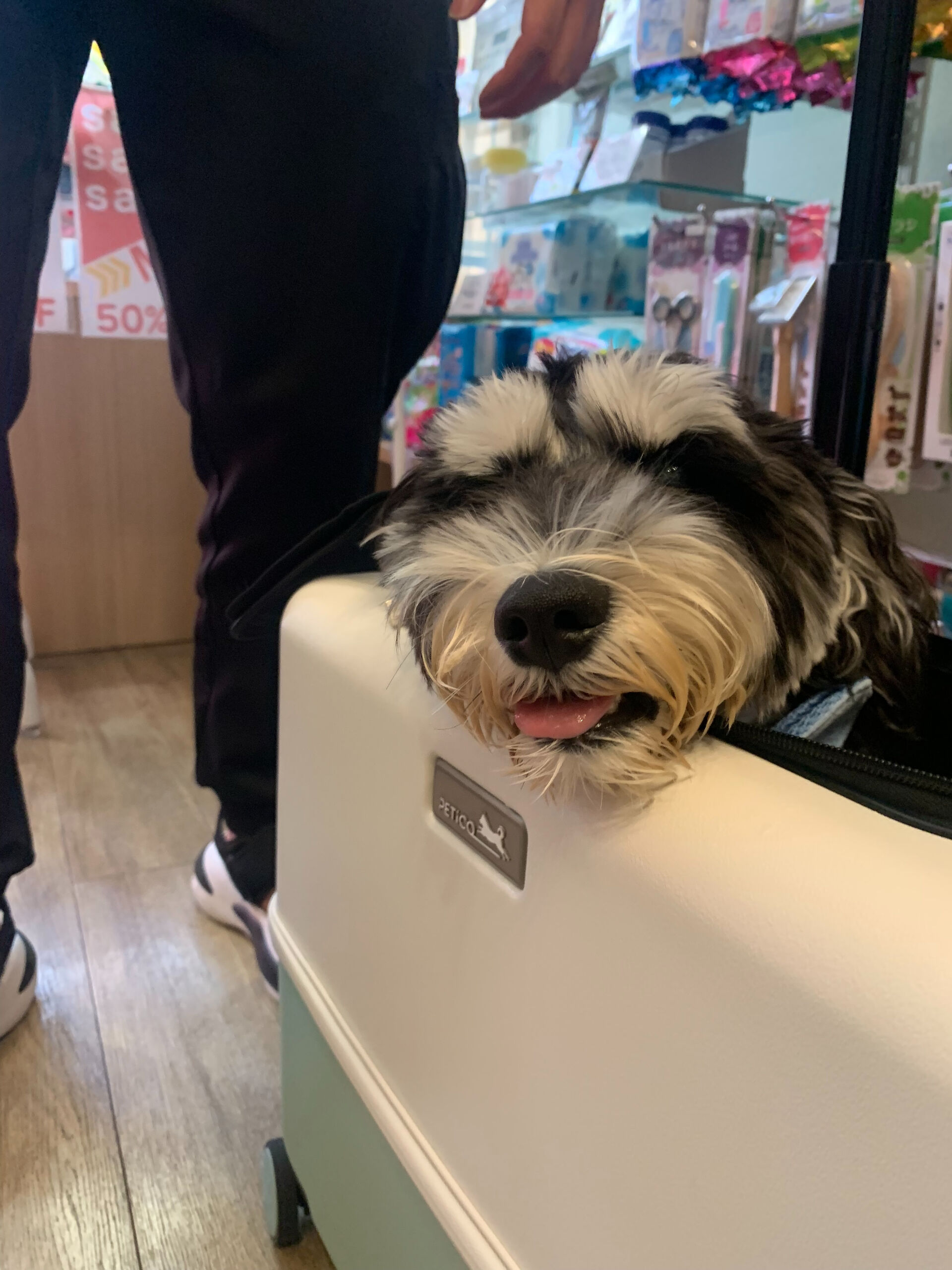 ソルくんご来店ありがとうございます😊