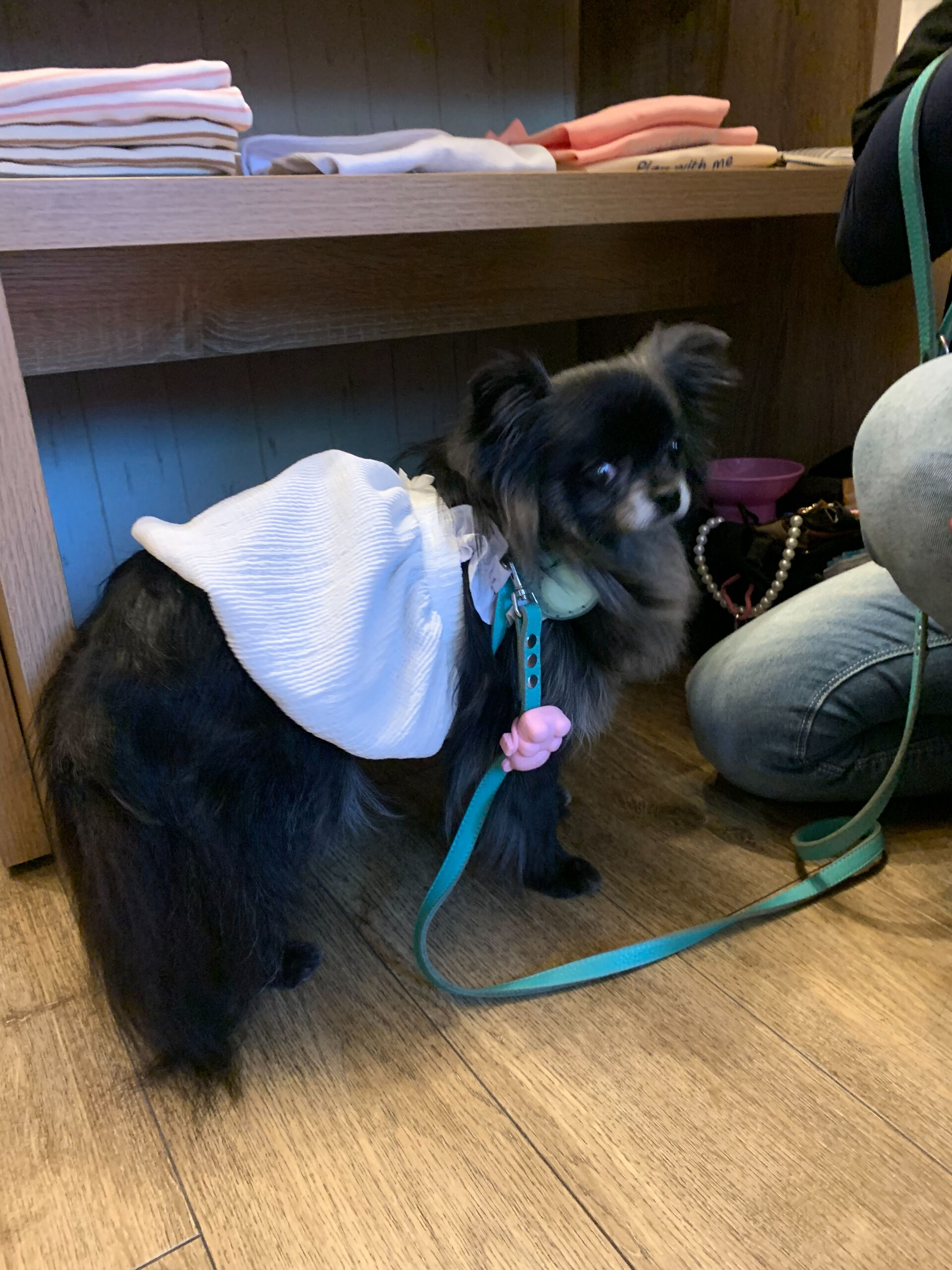 ラナちゃんご来店ありがとうございます😊