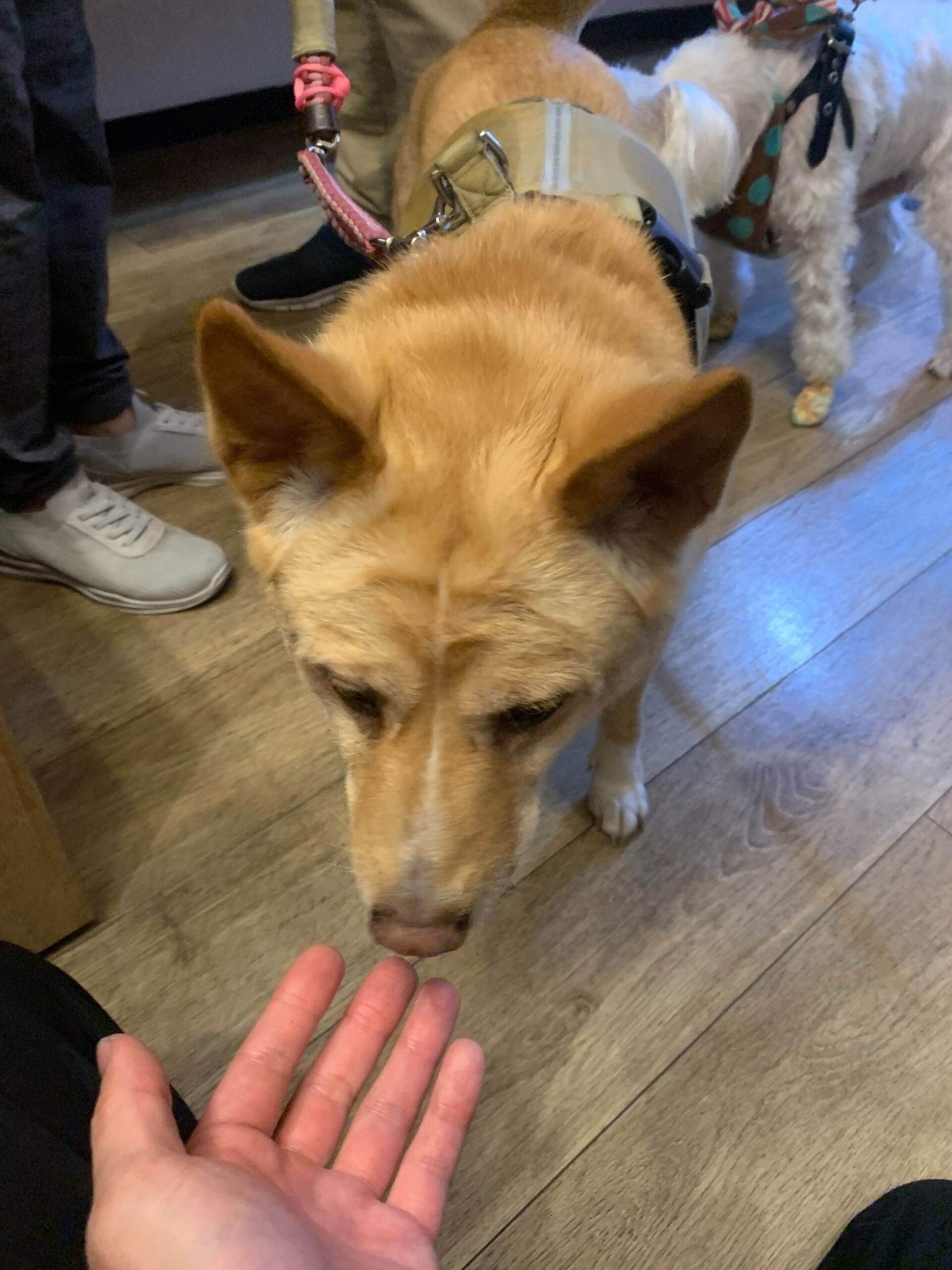 楓ちゃんご来店ありがとうございます😊