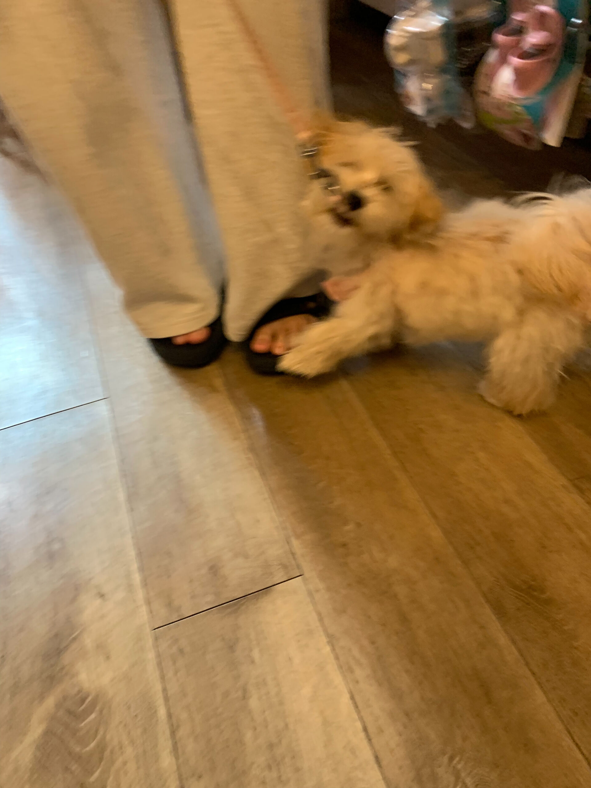 はるちゃん初めまして✨