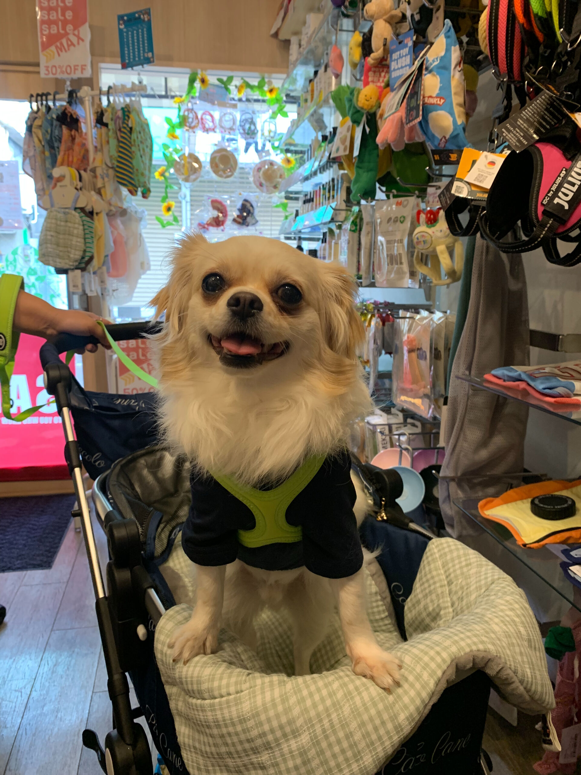 ロンくんご来店ありがとうございます😊