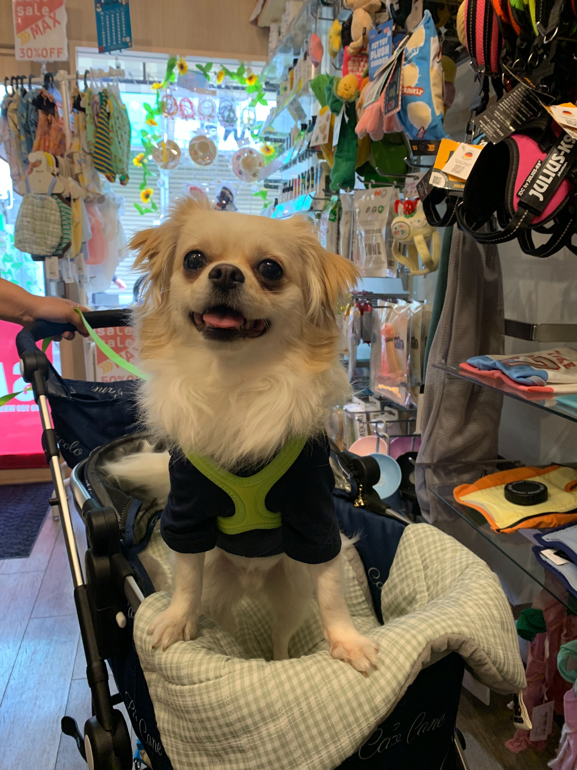 ロンくんご来店ありがとうございます😊