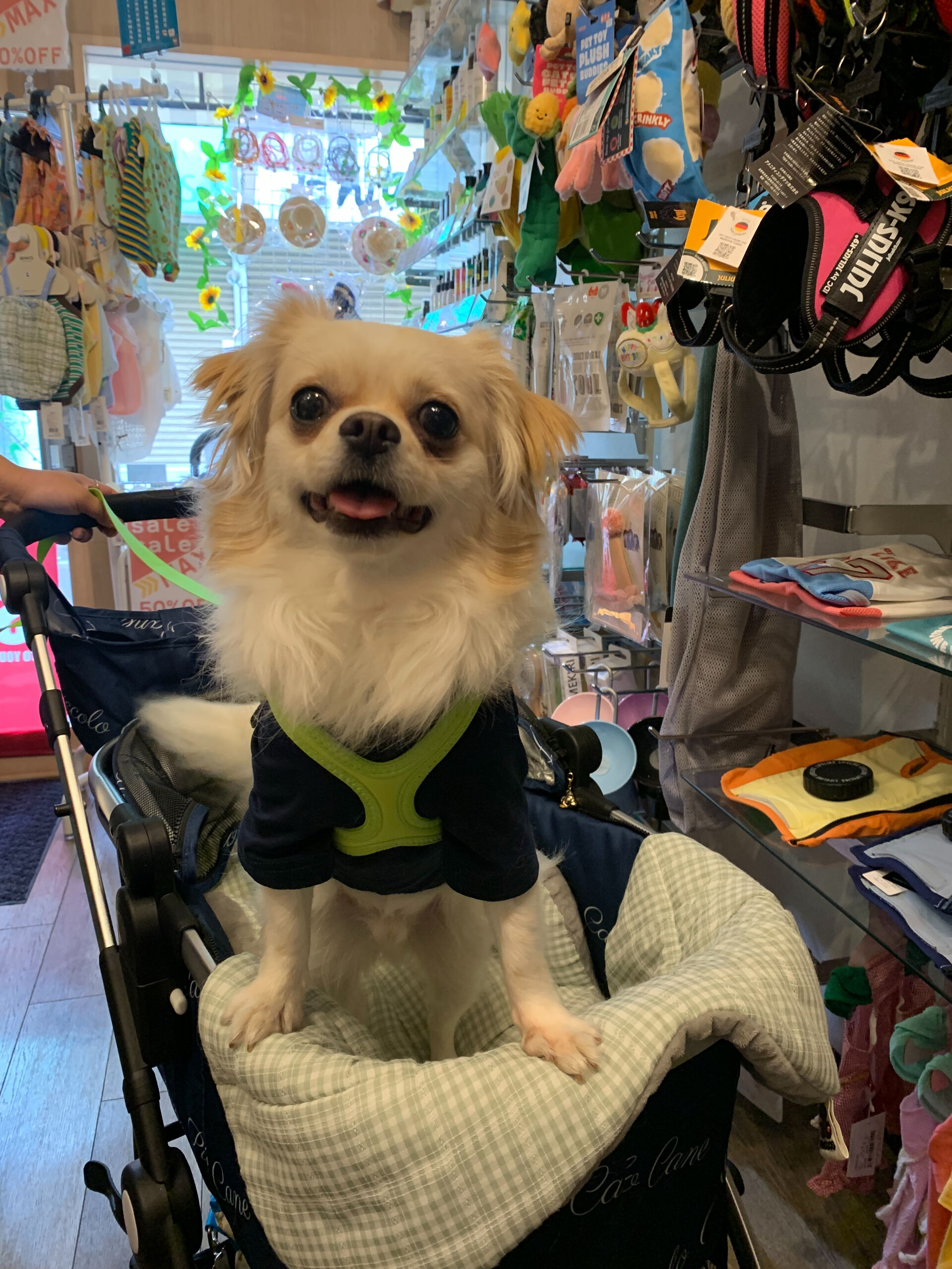 ロンくんご来店ありがとうございます😊