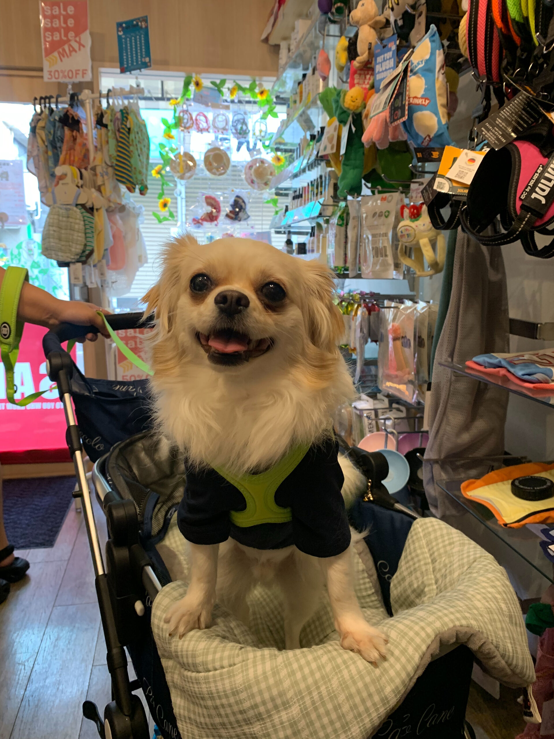 ロンくんご来店ありがとうございます😊
