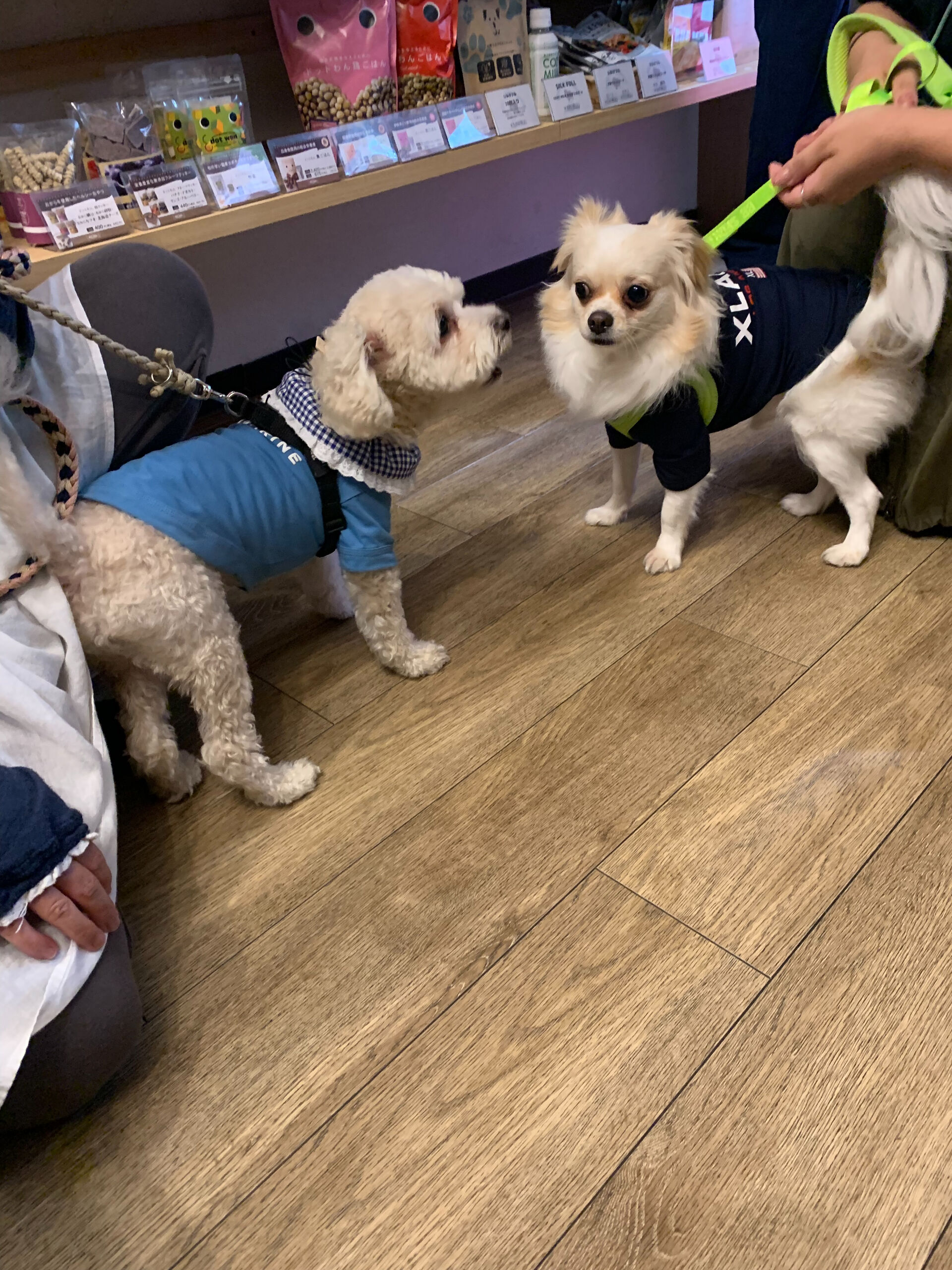 プーマくんご来店ありがとうございます😊