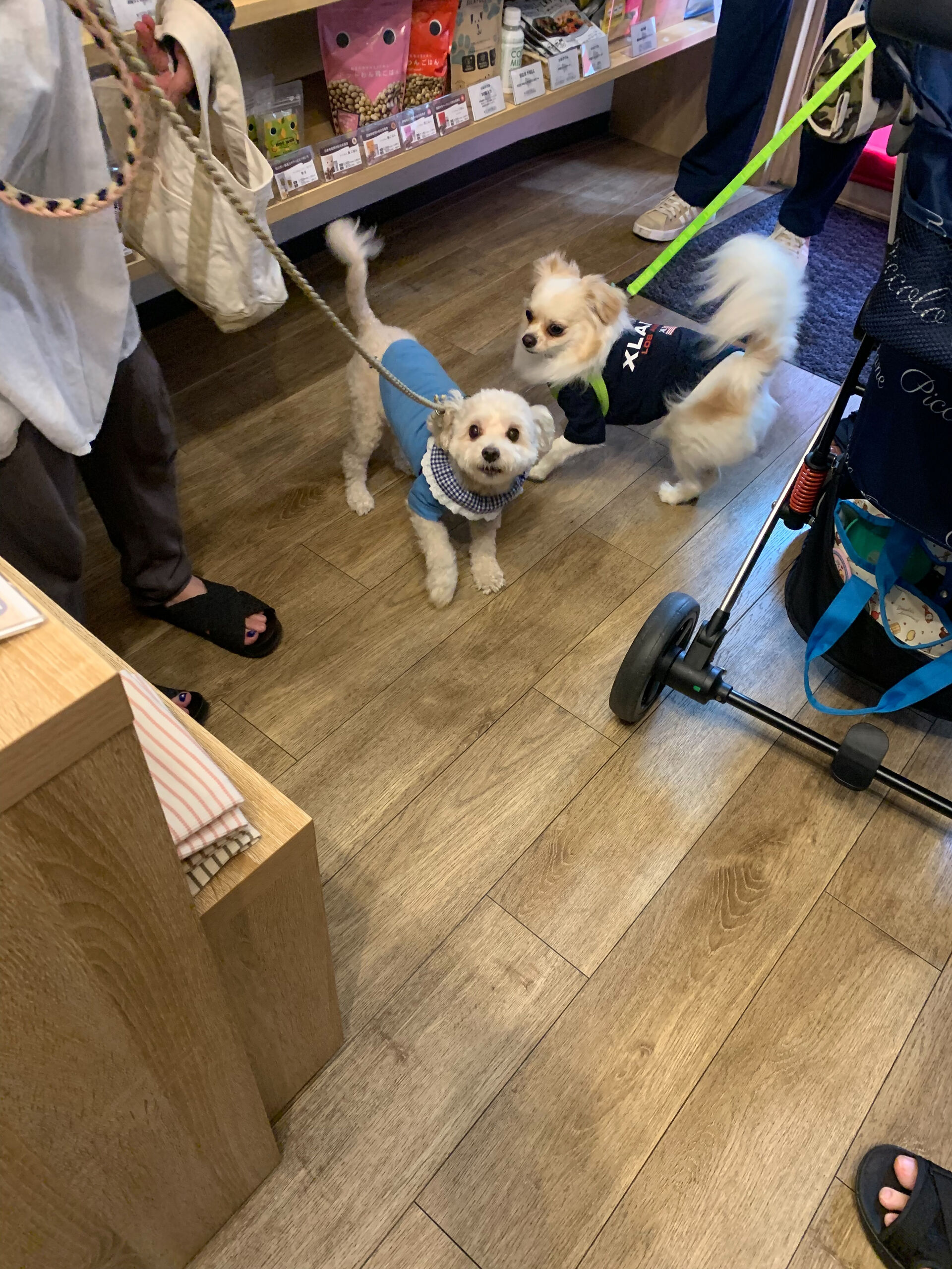プーマくんご来店ありがとうございます😊