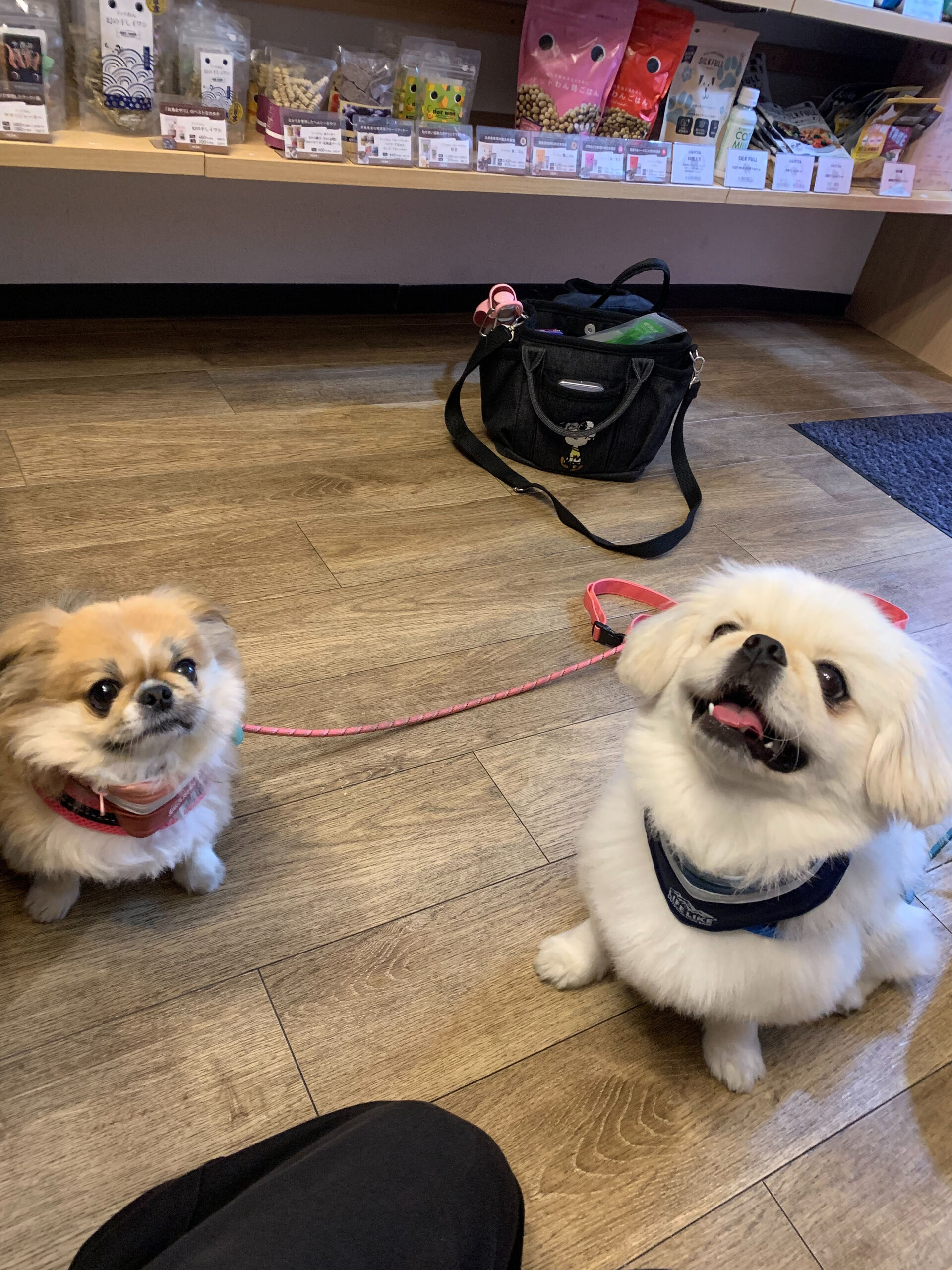 ハルくん、ナツくんご来店ありがとうございます😊