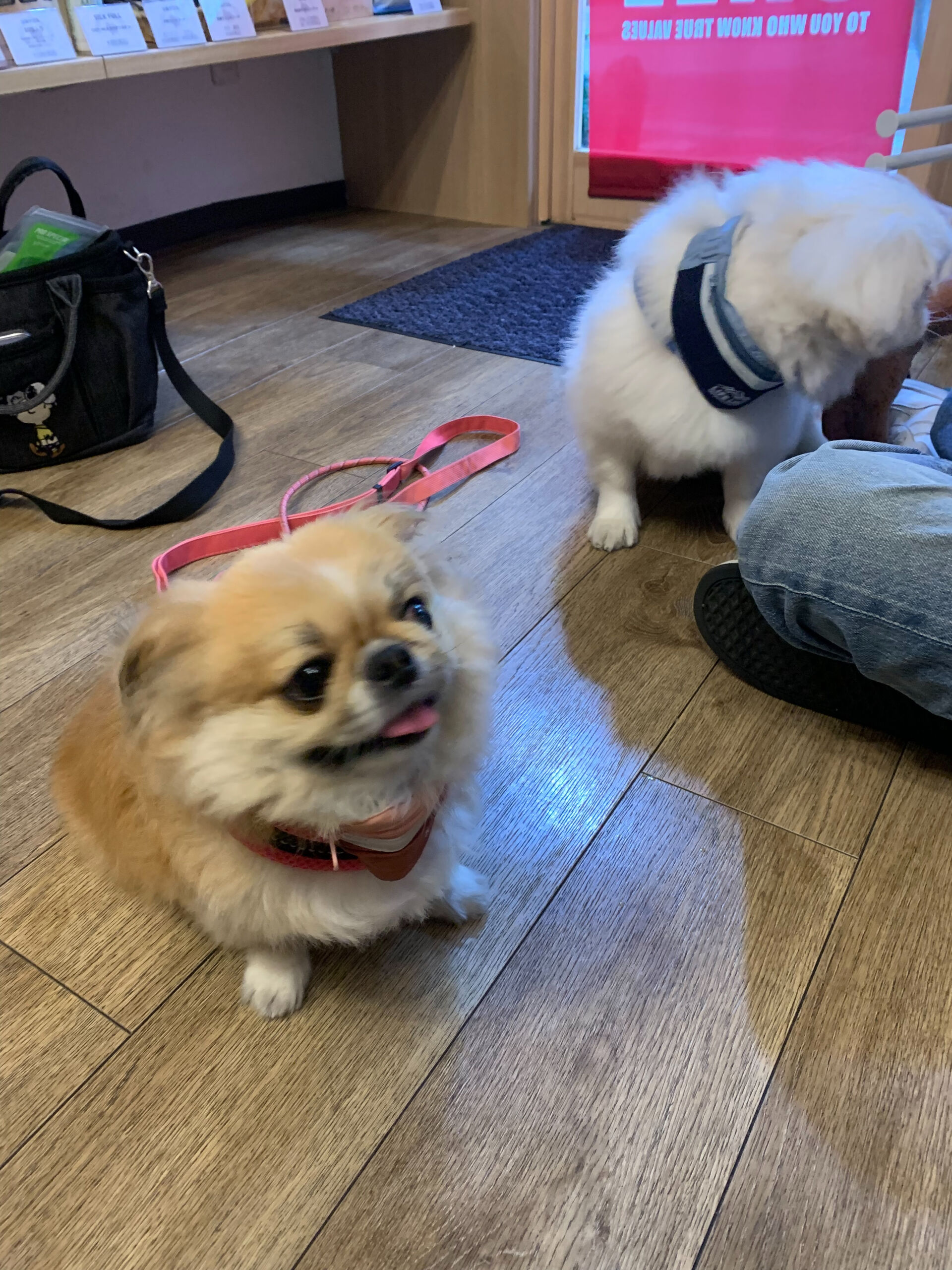 ハルくん、ナツくんご来店ありがとうございます😊