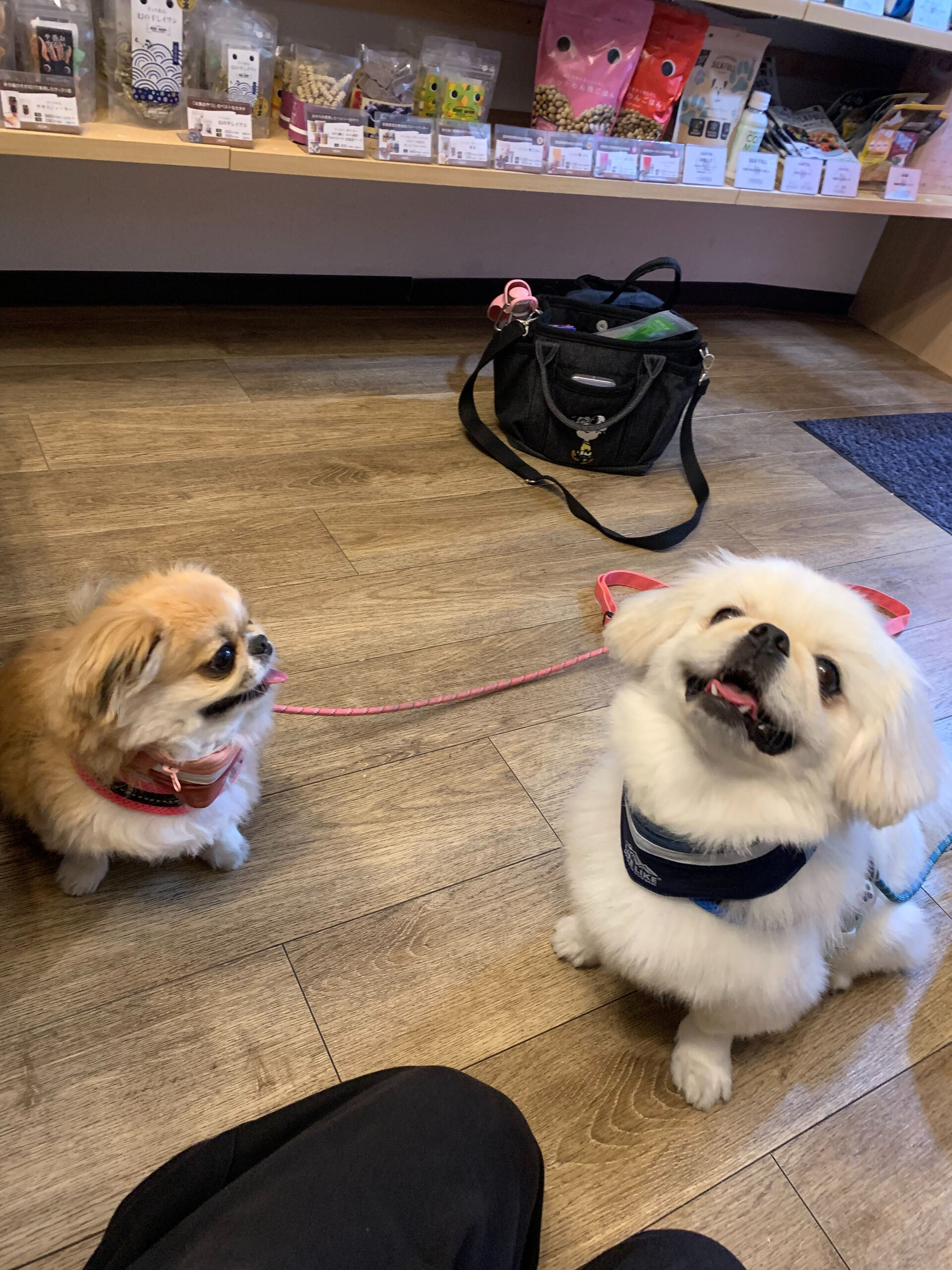 ハルくん、ナツくんご来店ありがとうございます😊