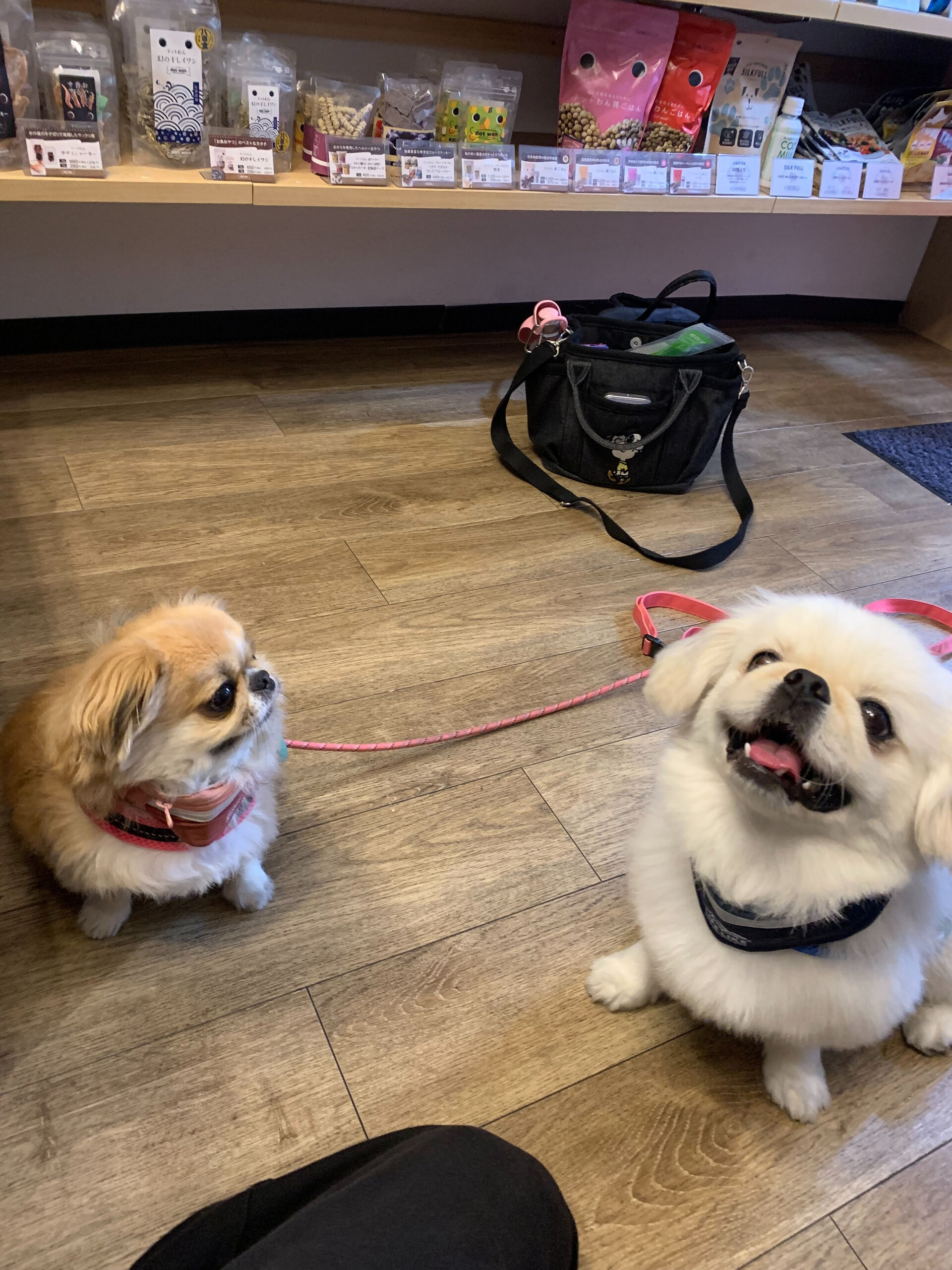 ハルくん、ナツくんご来店ありがとうございます😊