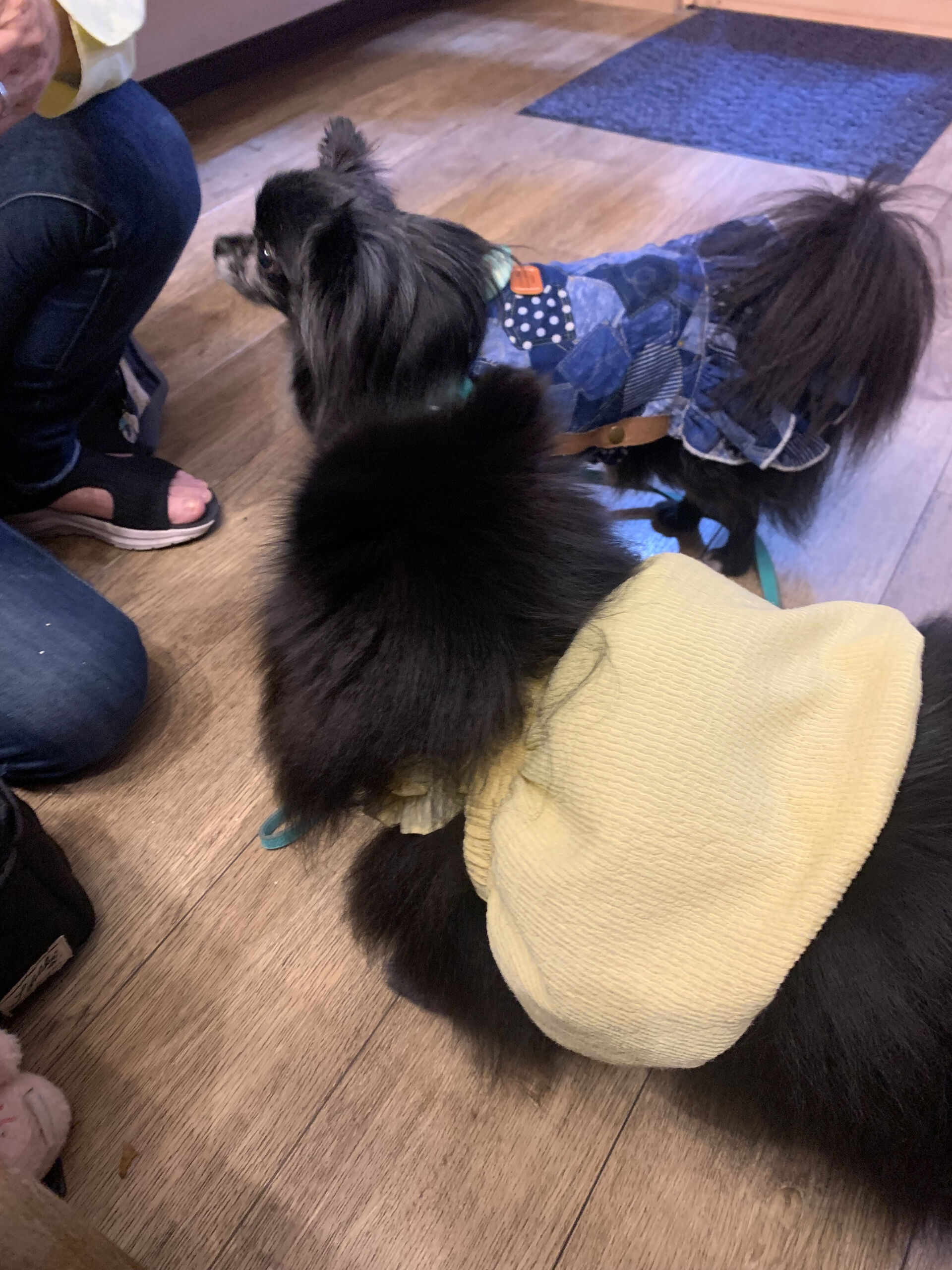 ラナちゃんご来店ありがとうございます😊