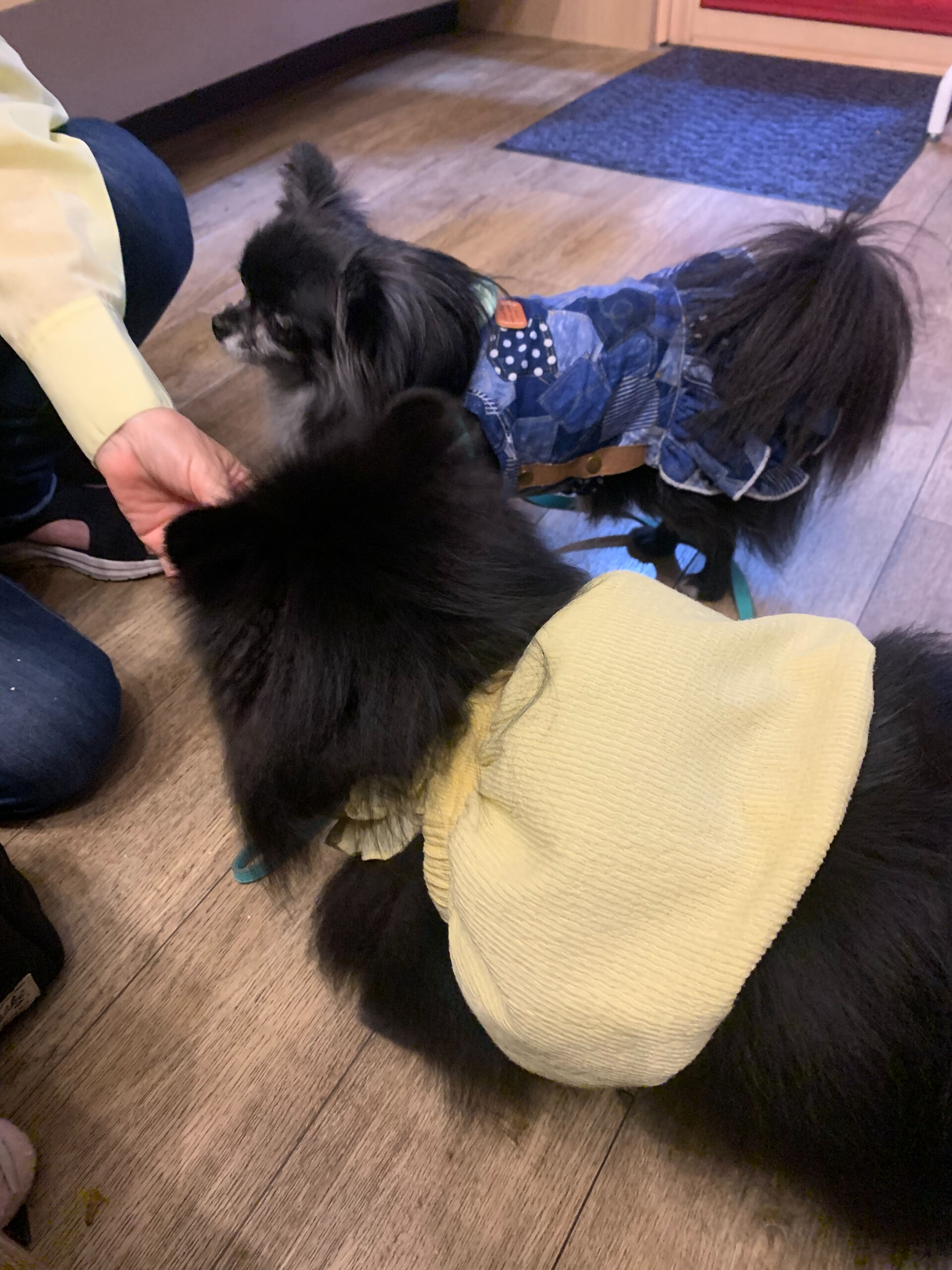 ラナちゃんご来店ありがとうございます😊
