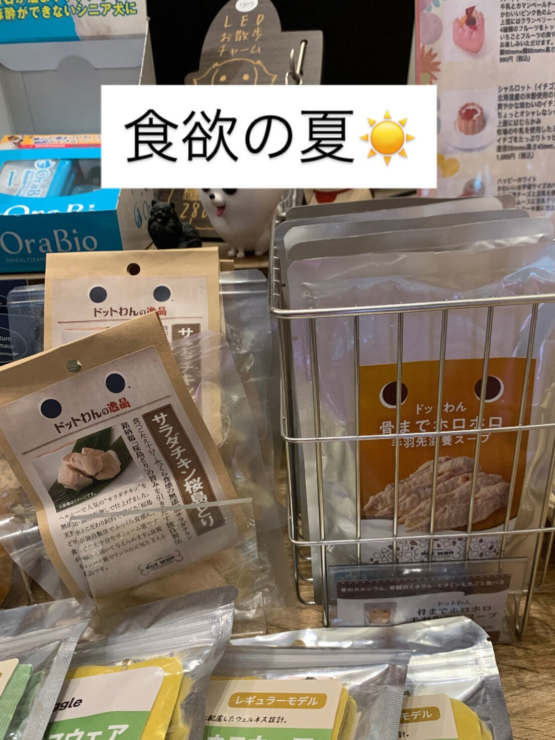 人気のドットわん逸品シリーズから