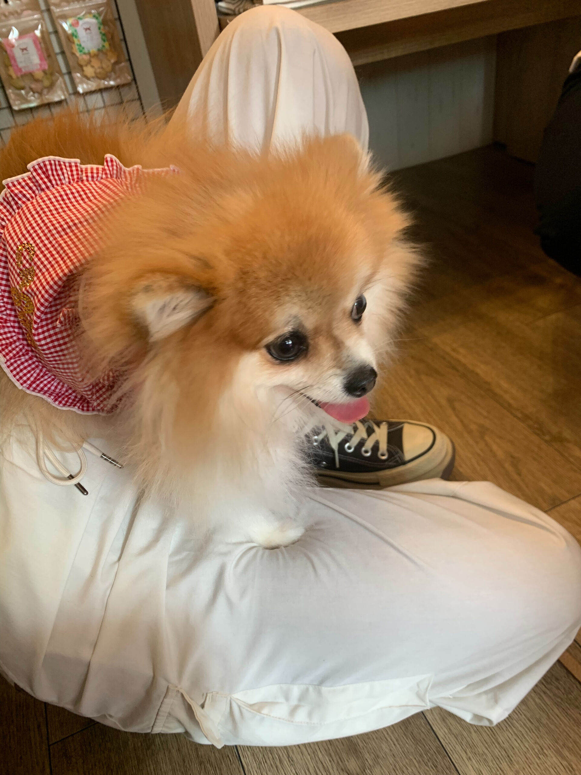 そらくん、ルナちゃんご来店ありがとうございます😊