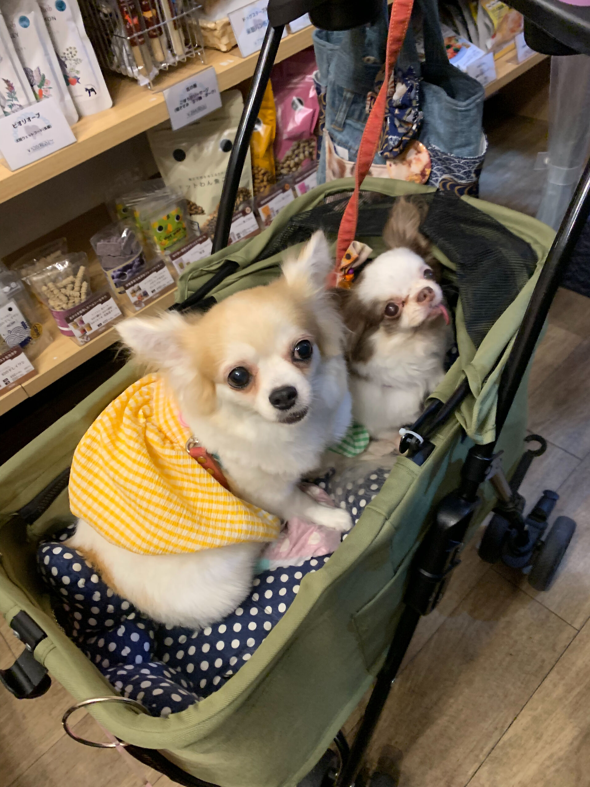 ゆわちゃん、ももなちゃんご来店ありがとうございます😊