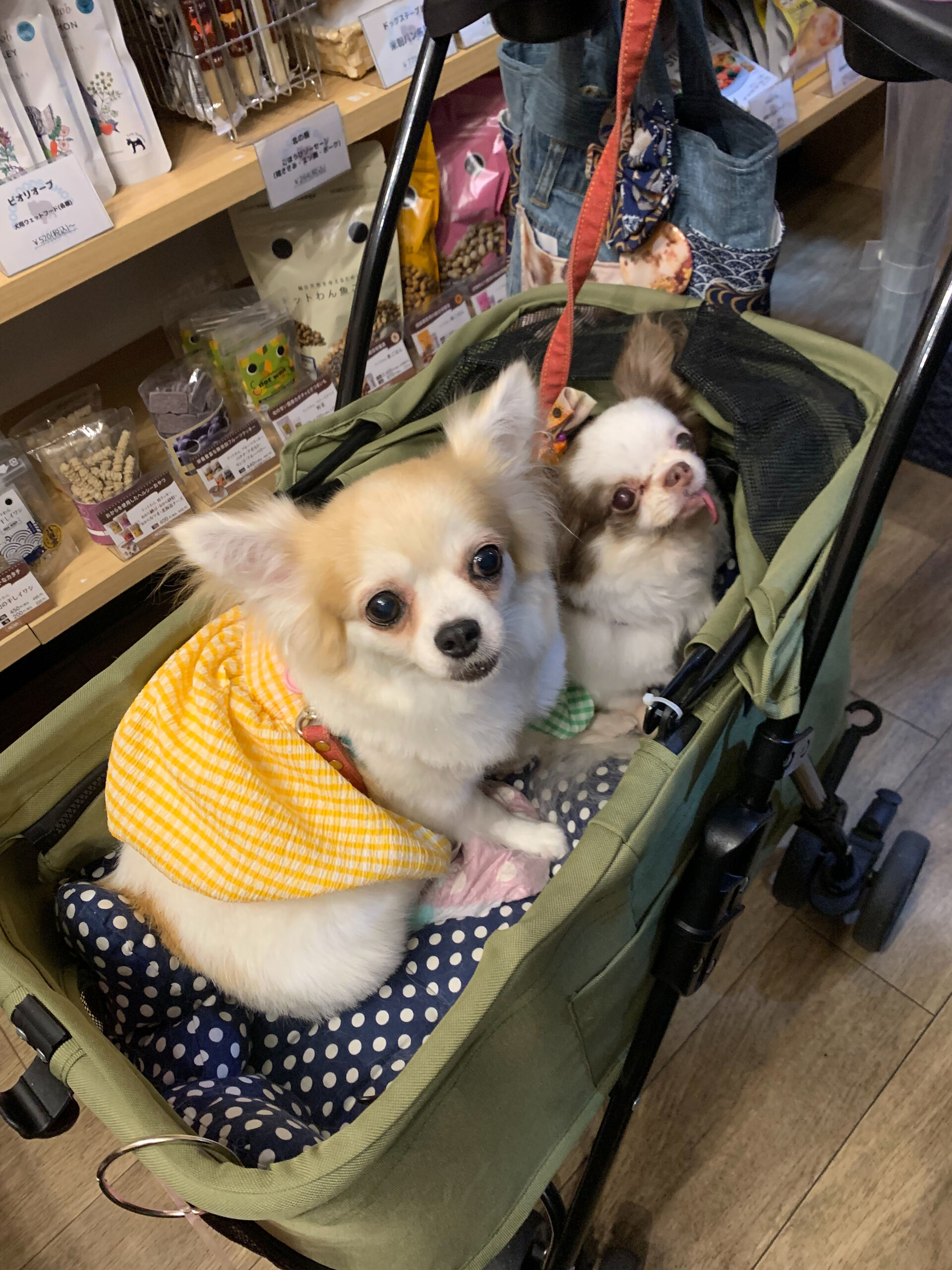ゆわちゃん、ももなちゃんご来店ありがとうございます😊