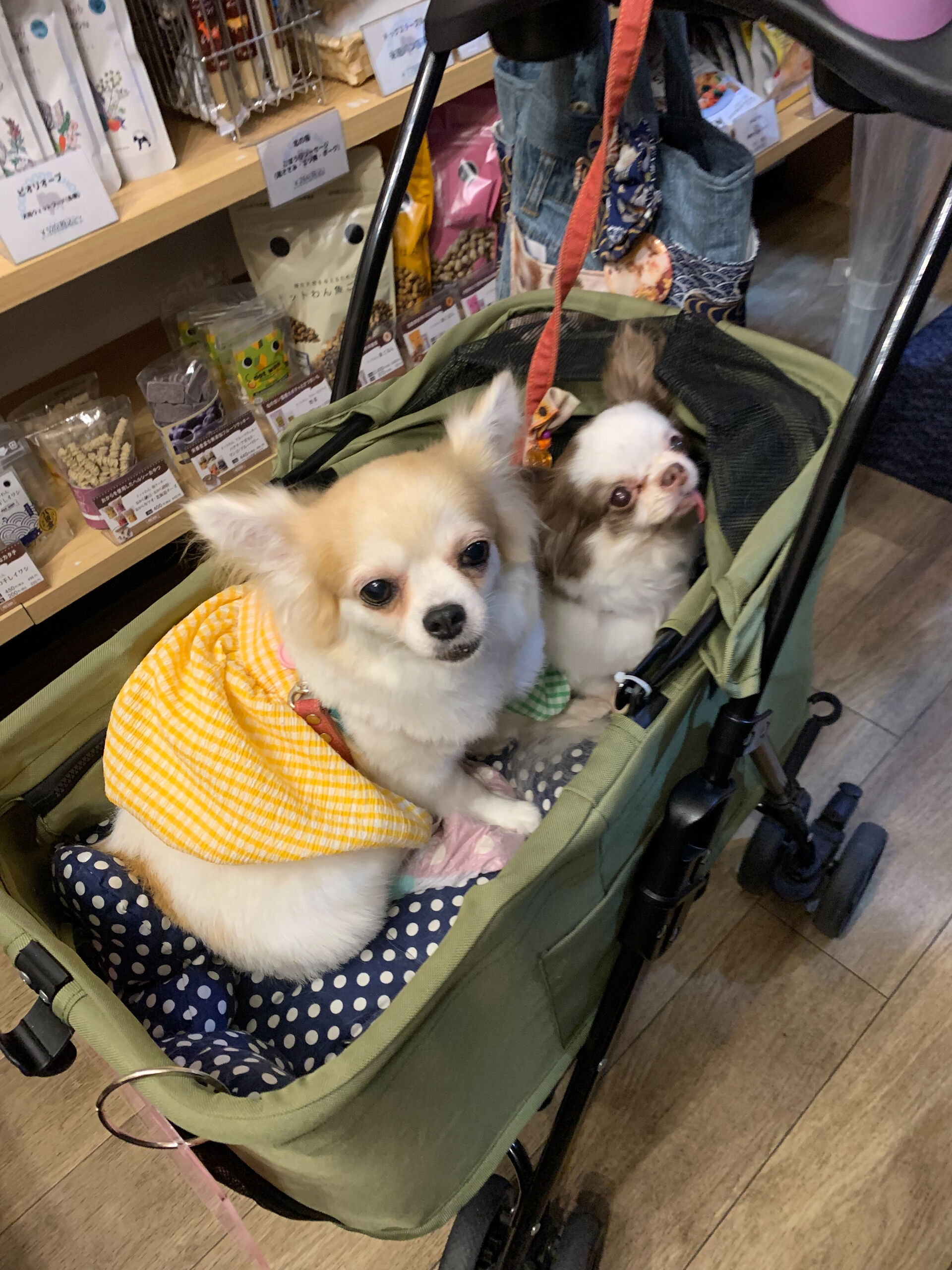 ゆわちゃん、ももなちゃんご来店ありがとうございます😊