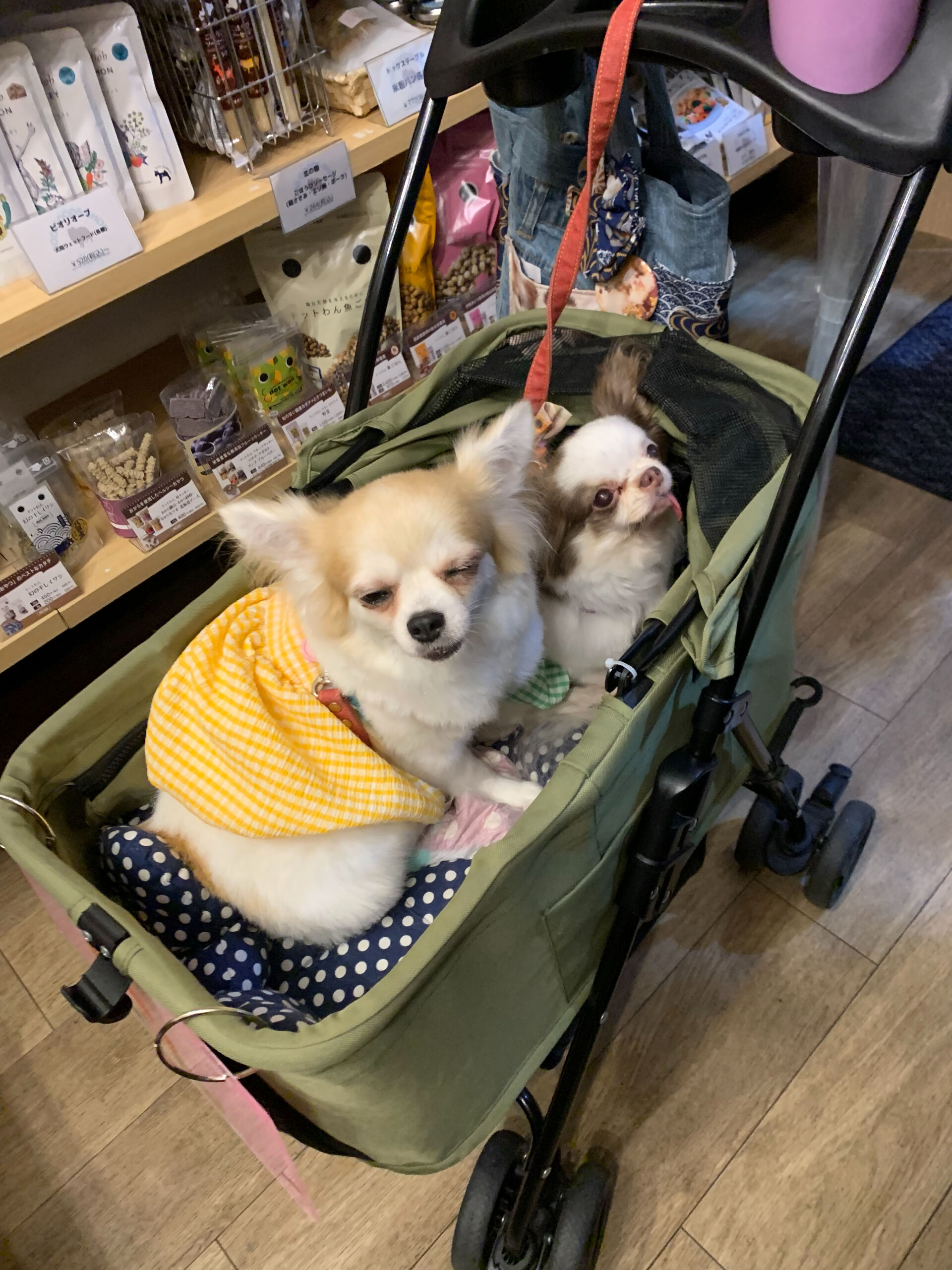 ゆわちゃん、ももなちゃんご来店ありがとうございます😊