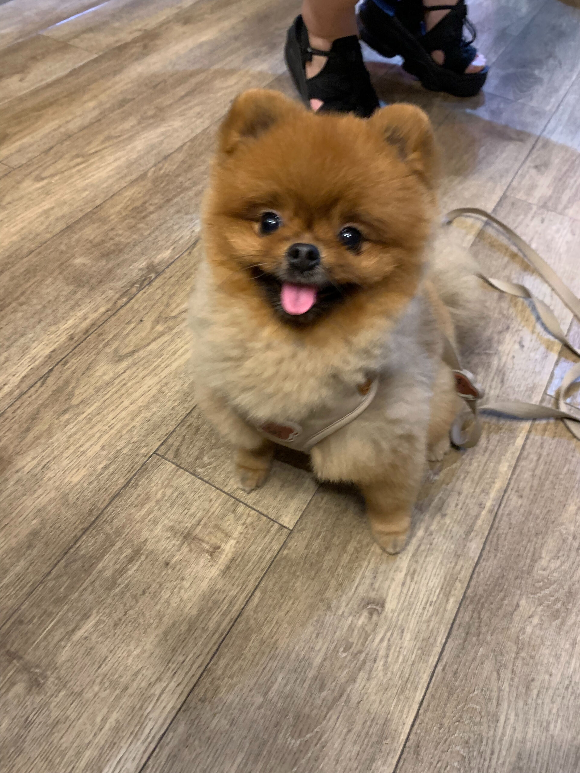 本日の大トリはイニちゃんでしたー👏