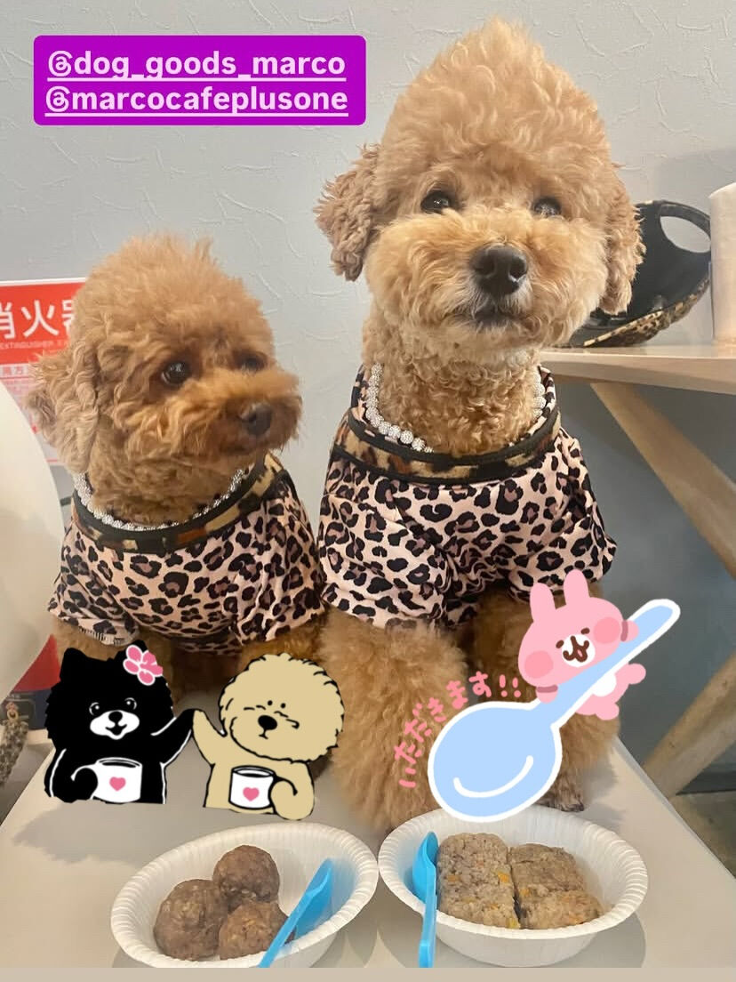 ティアくん、レオくんご来店ありがとうございます😊
