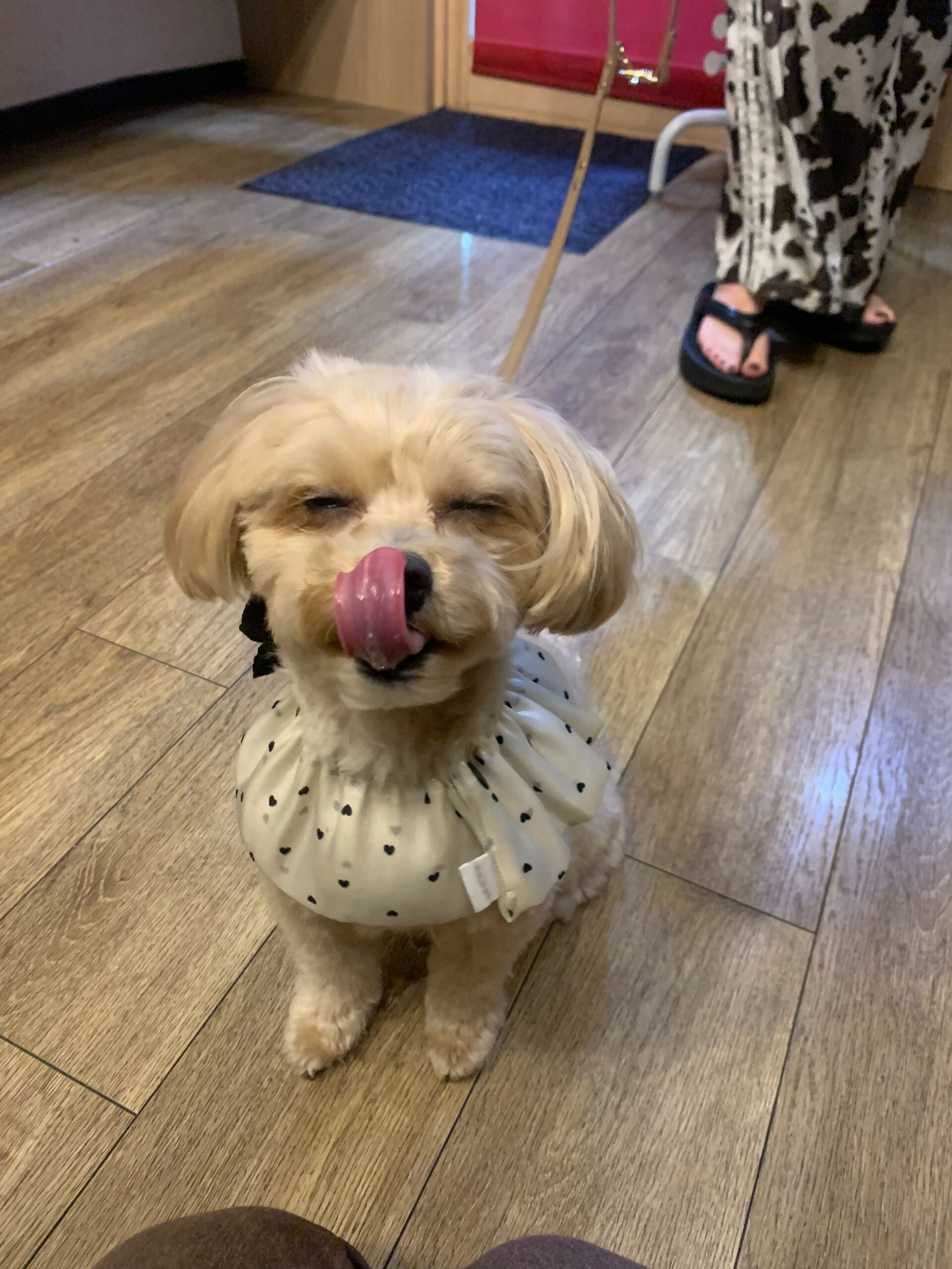 ユニくんご来店ありがとうございます😊