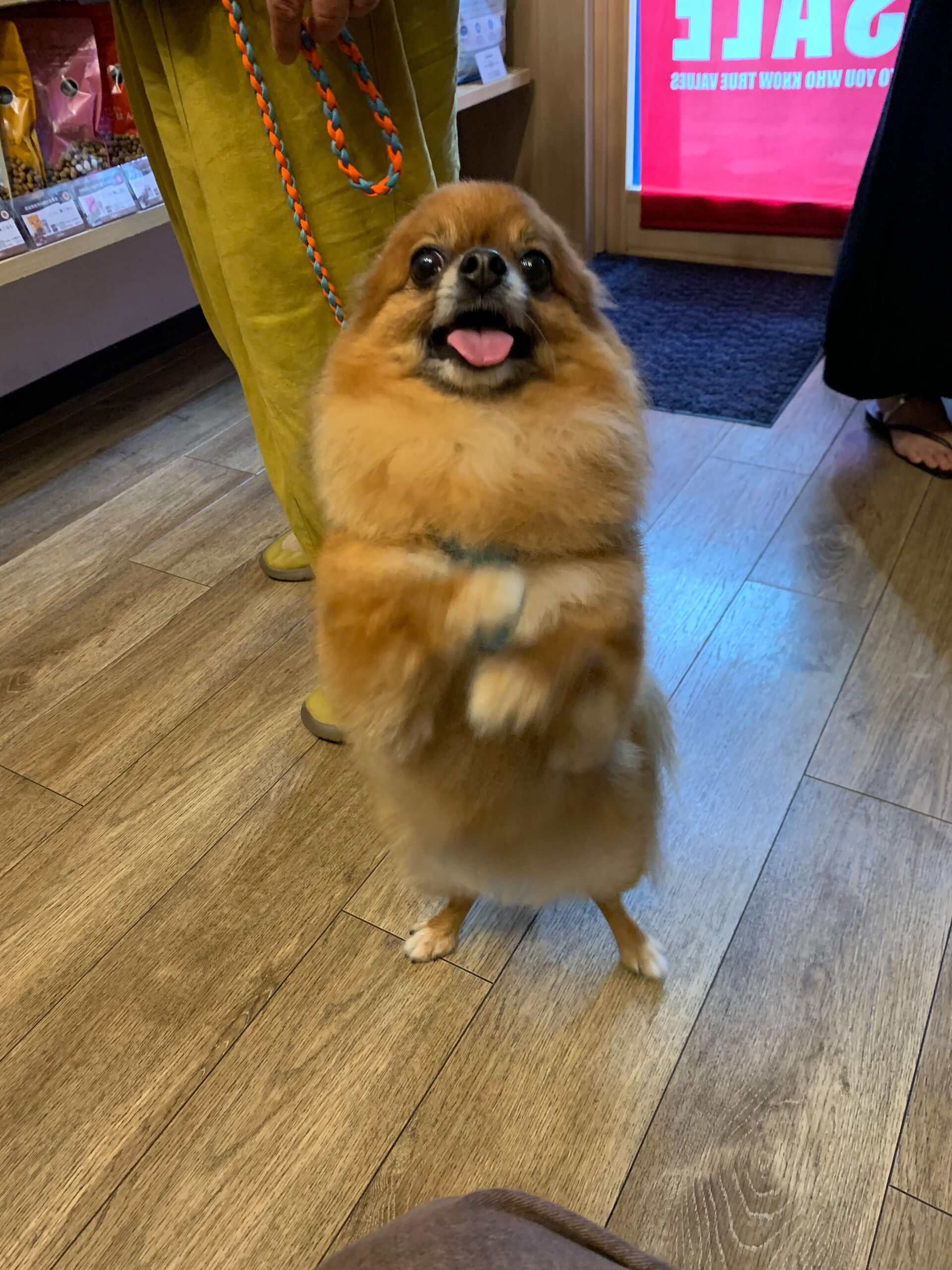 こてつくんご来店ありがとうございます😊