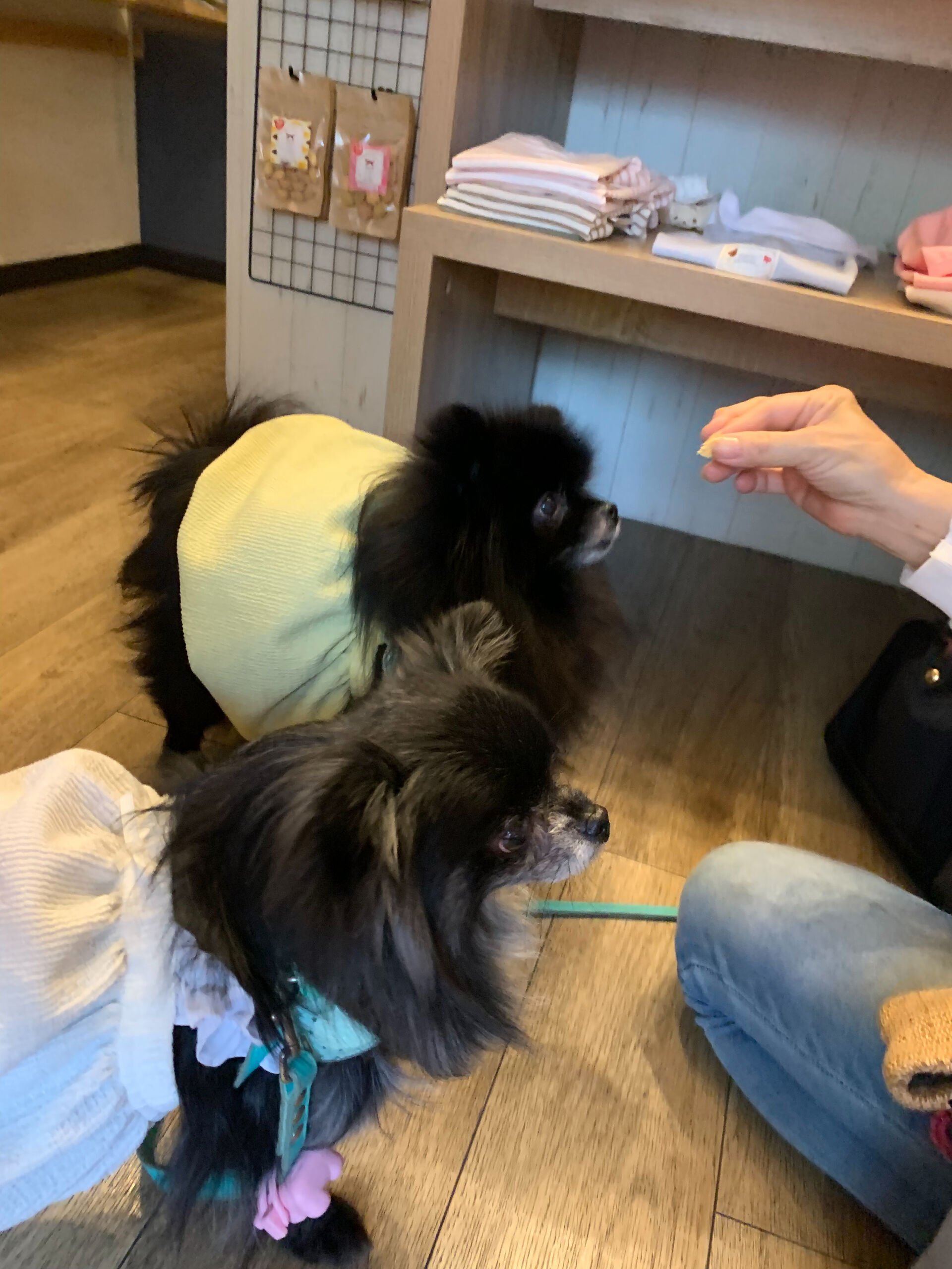 ラナちゃんご来店ありがとうございます😊