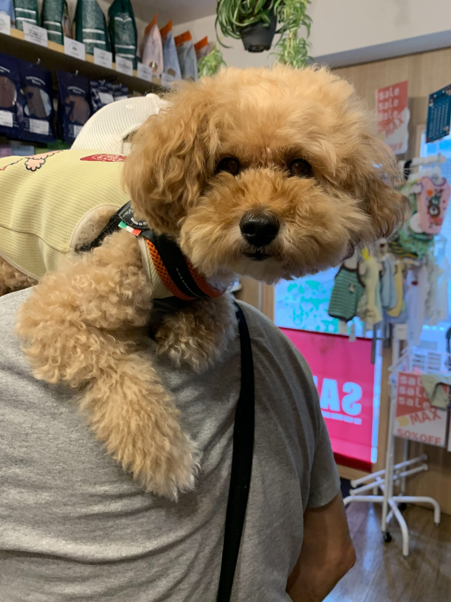 きなこくんご来店ありがとうございます😊