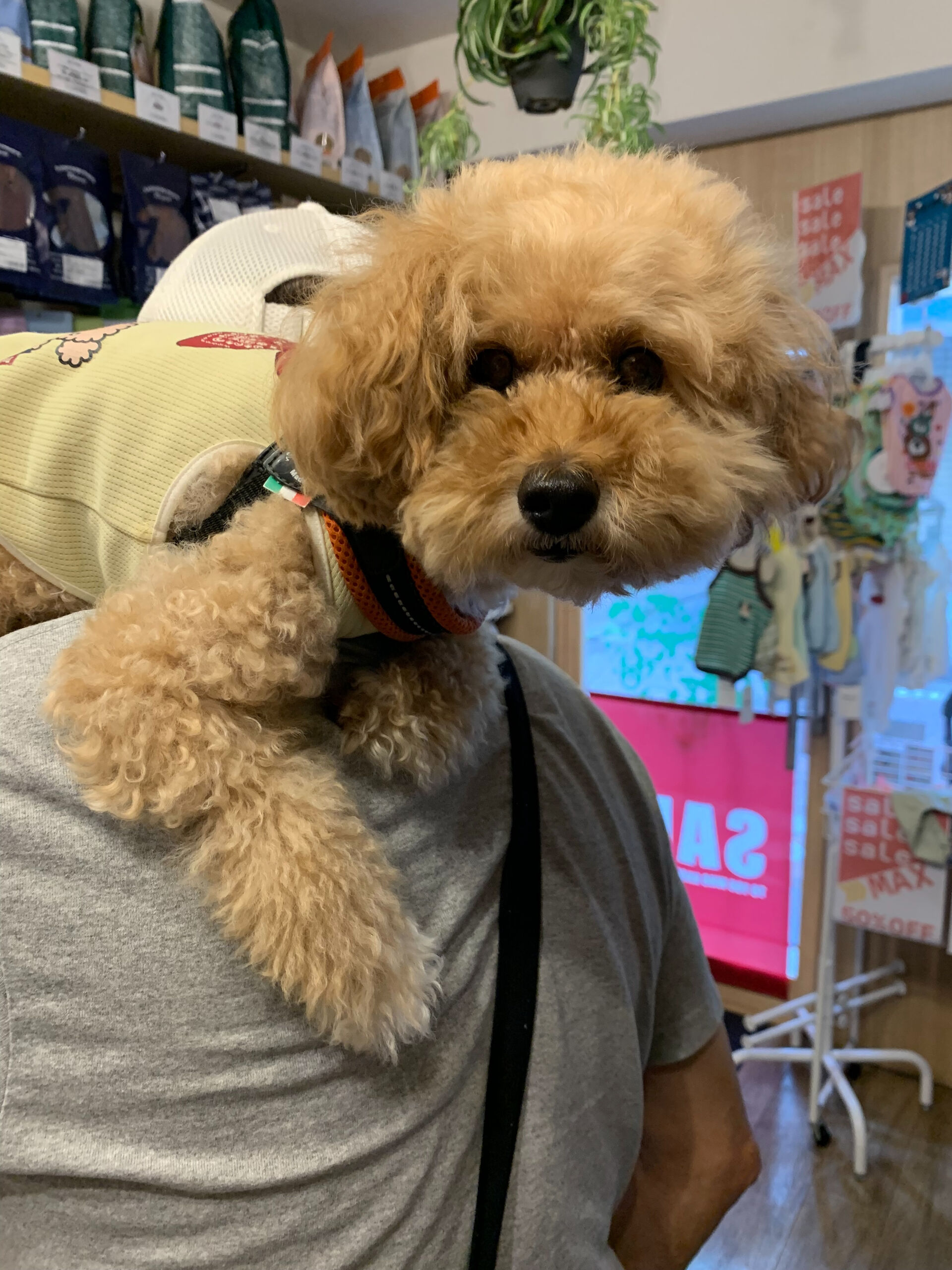 きなこくんご来店ありがとうございます😊
