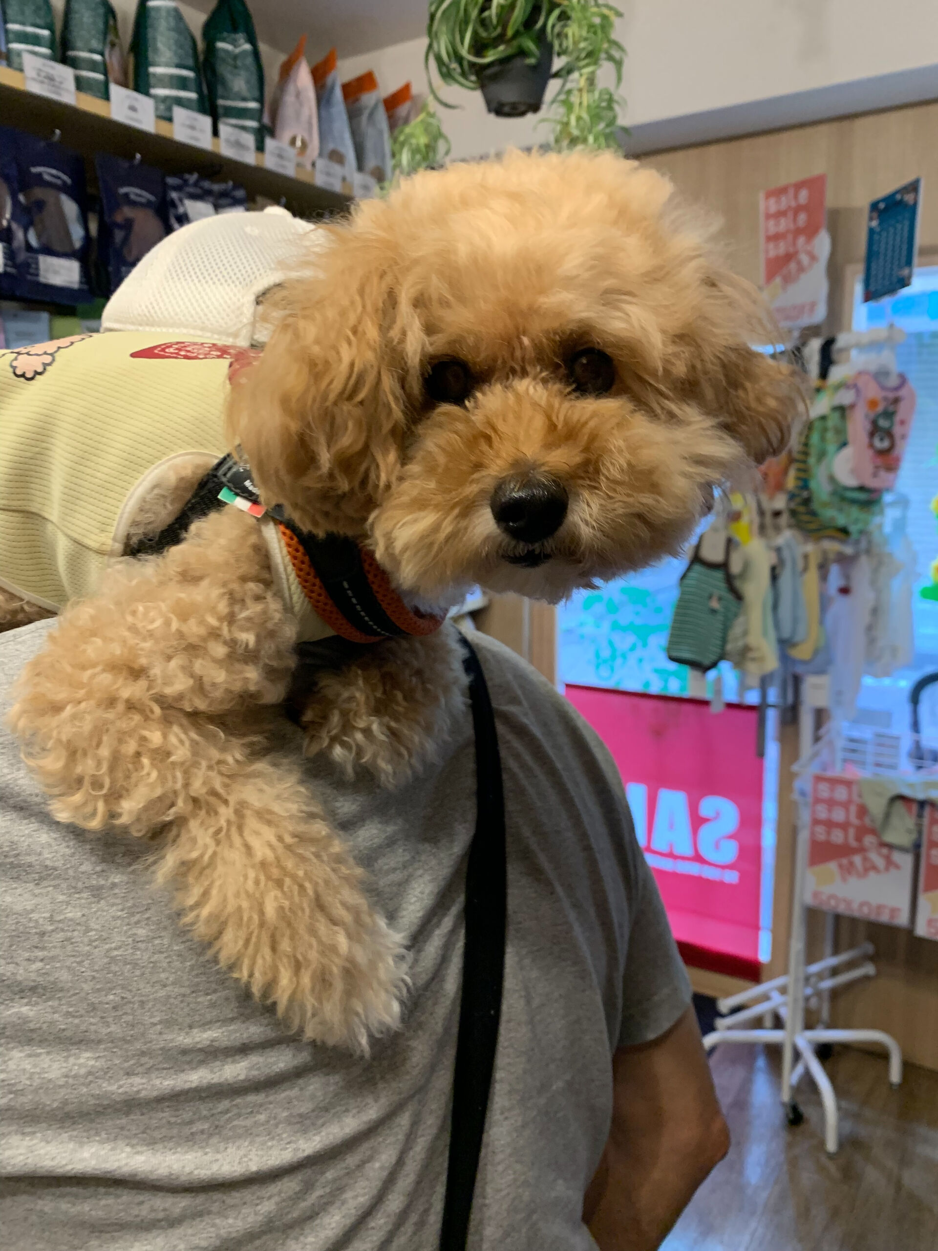 きなこくんご来店ありがとうございます😊