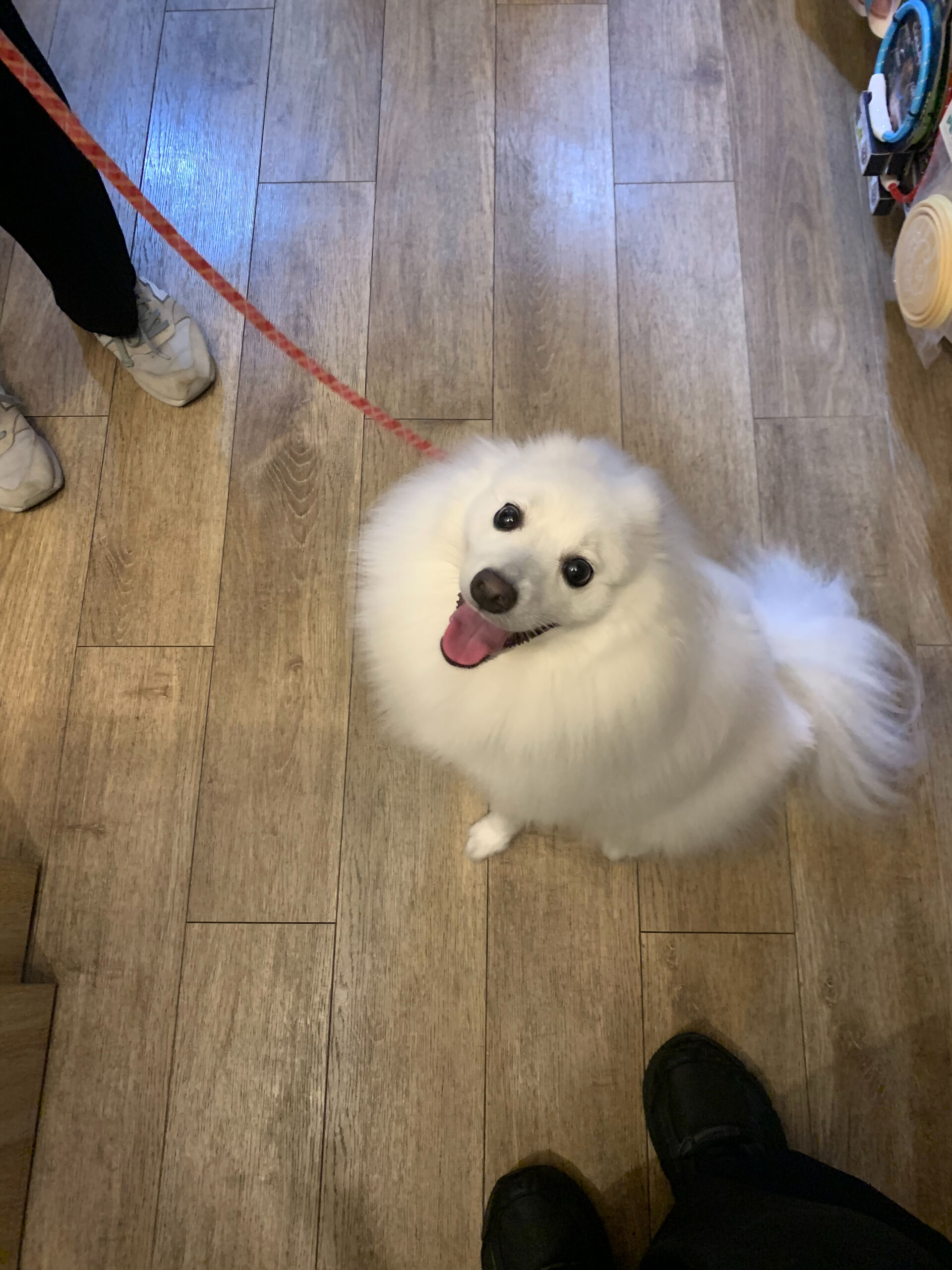 ちゅらちゃんご来店ありがとうございます😊