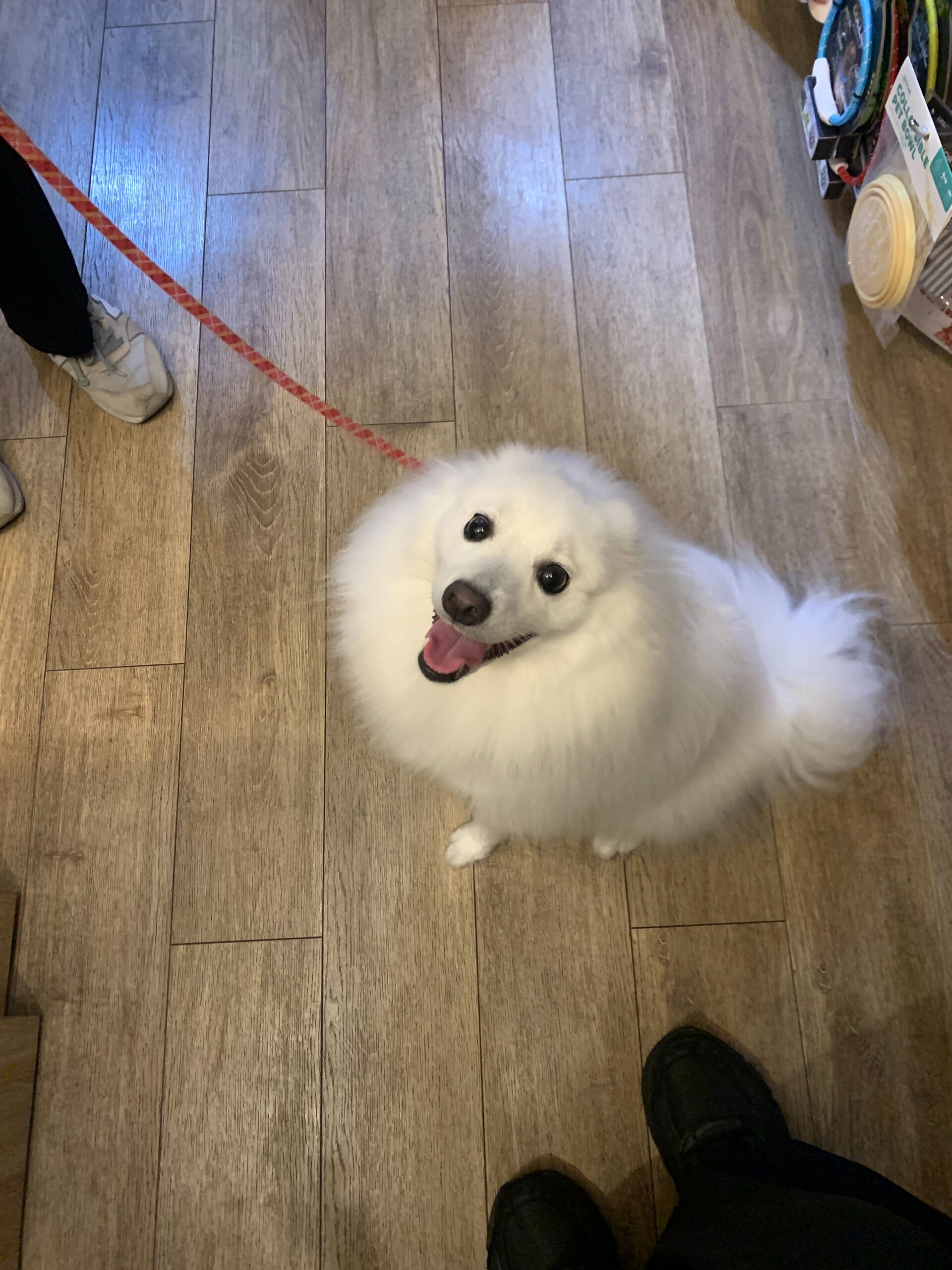 ちゅらちゃんご来店ありがとうございます😊
