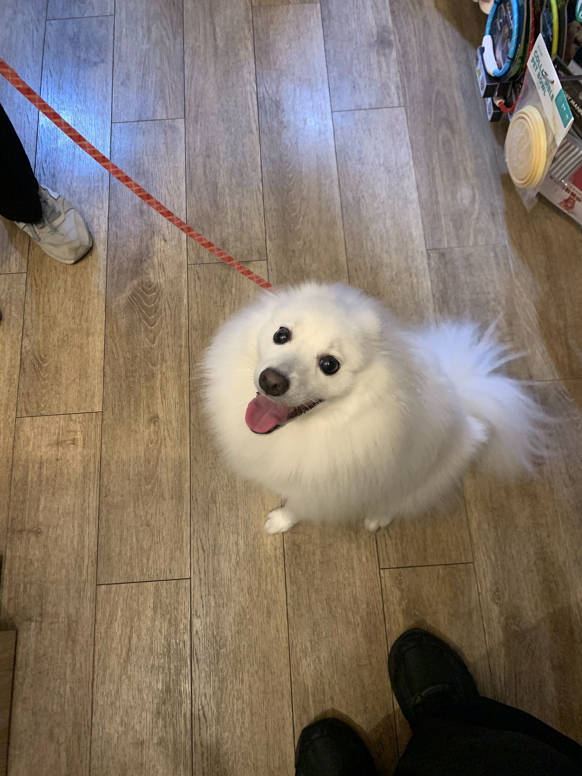 ちゅらちゃんご来店ありがとうございます😊