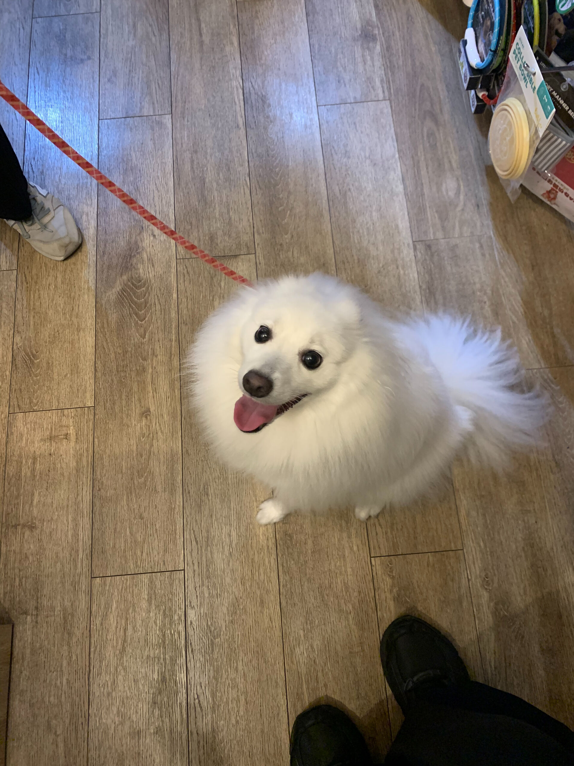 ちゅらちゃんご来店ありがとうございます😊