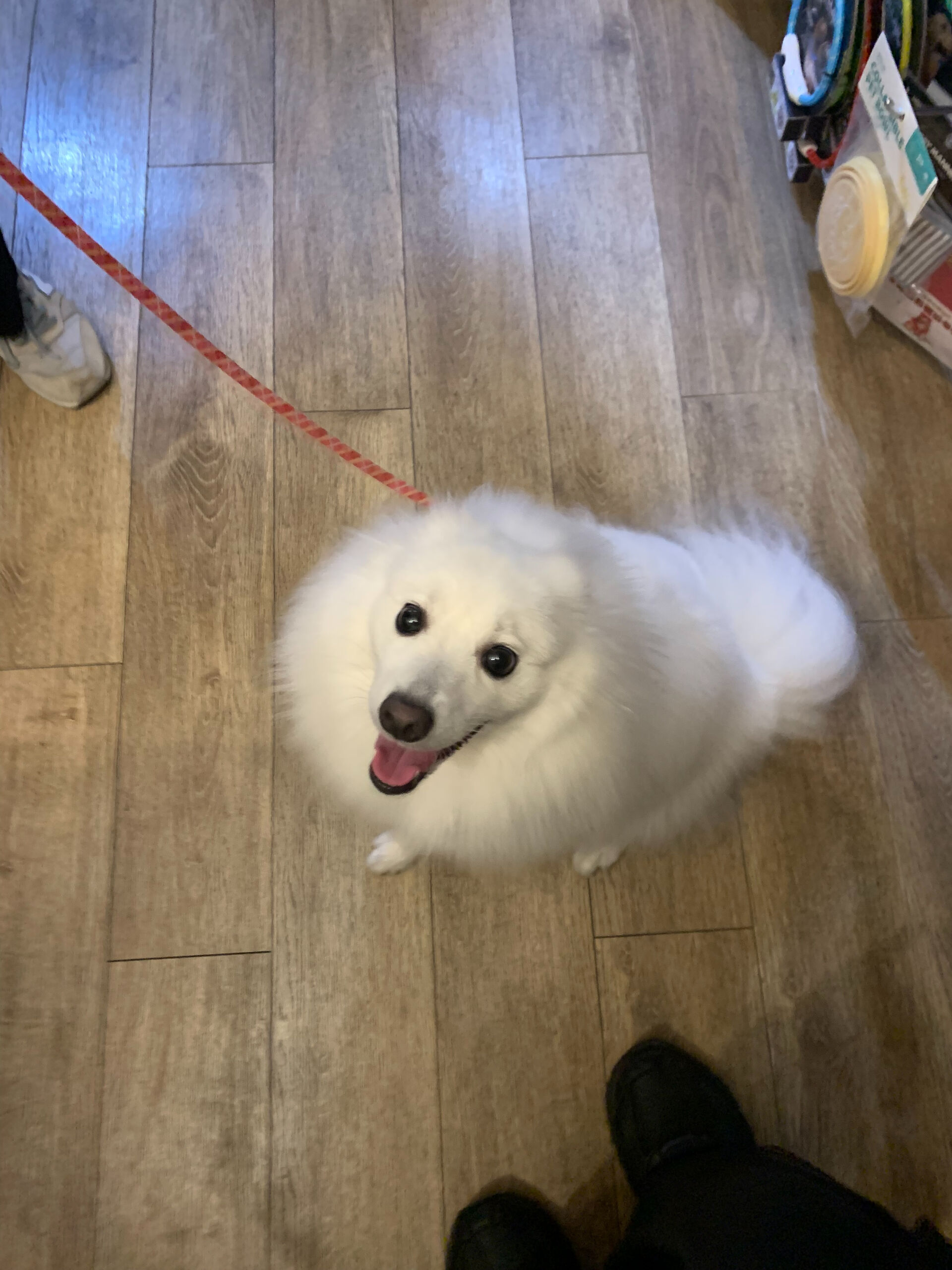 ちゅらちゃんご来店ありがとうございます😊