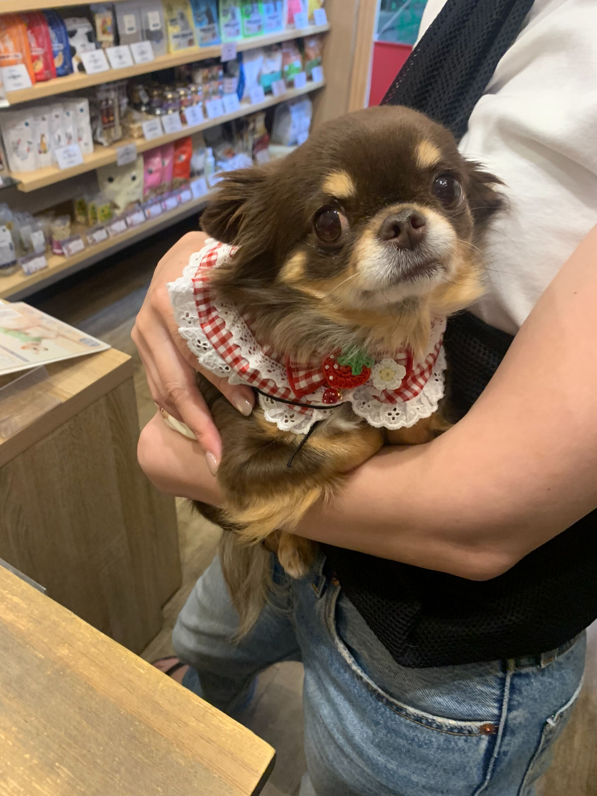 本日の大トリはテンちゃんでしたー👏