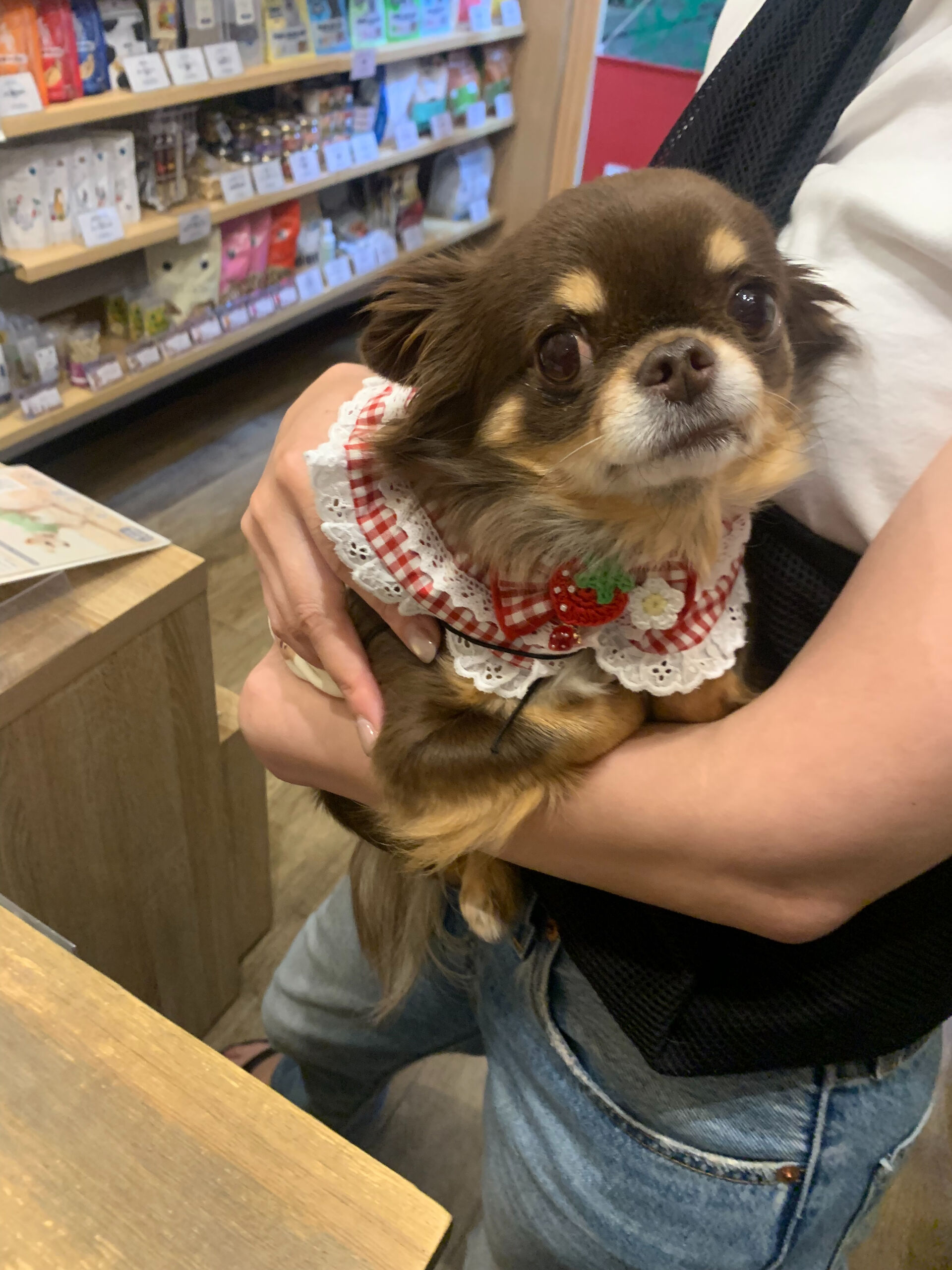 本日の大トリはテンちゃんでしたー👏