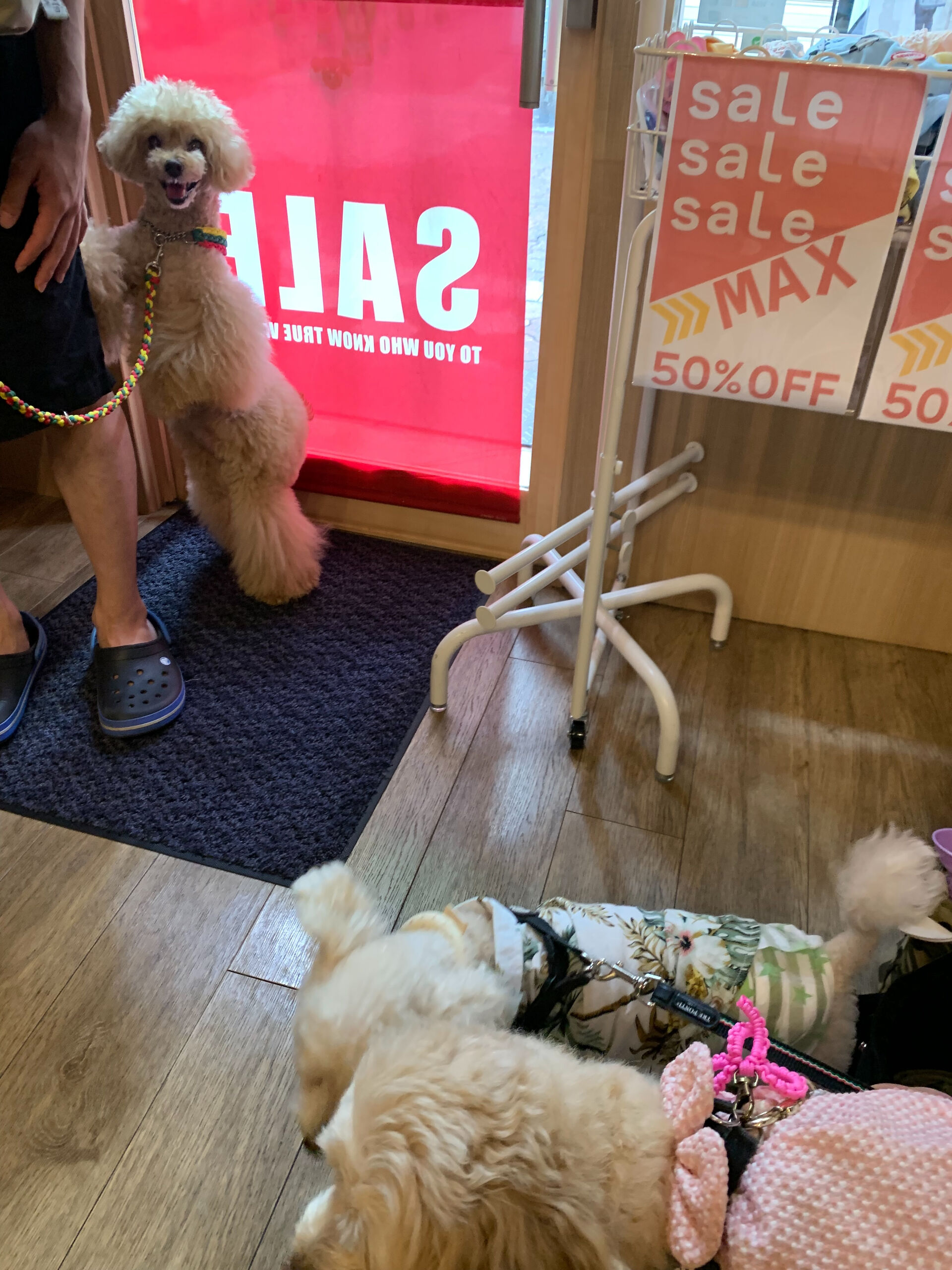 マロンちゃんご来店ありがとうございます😊