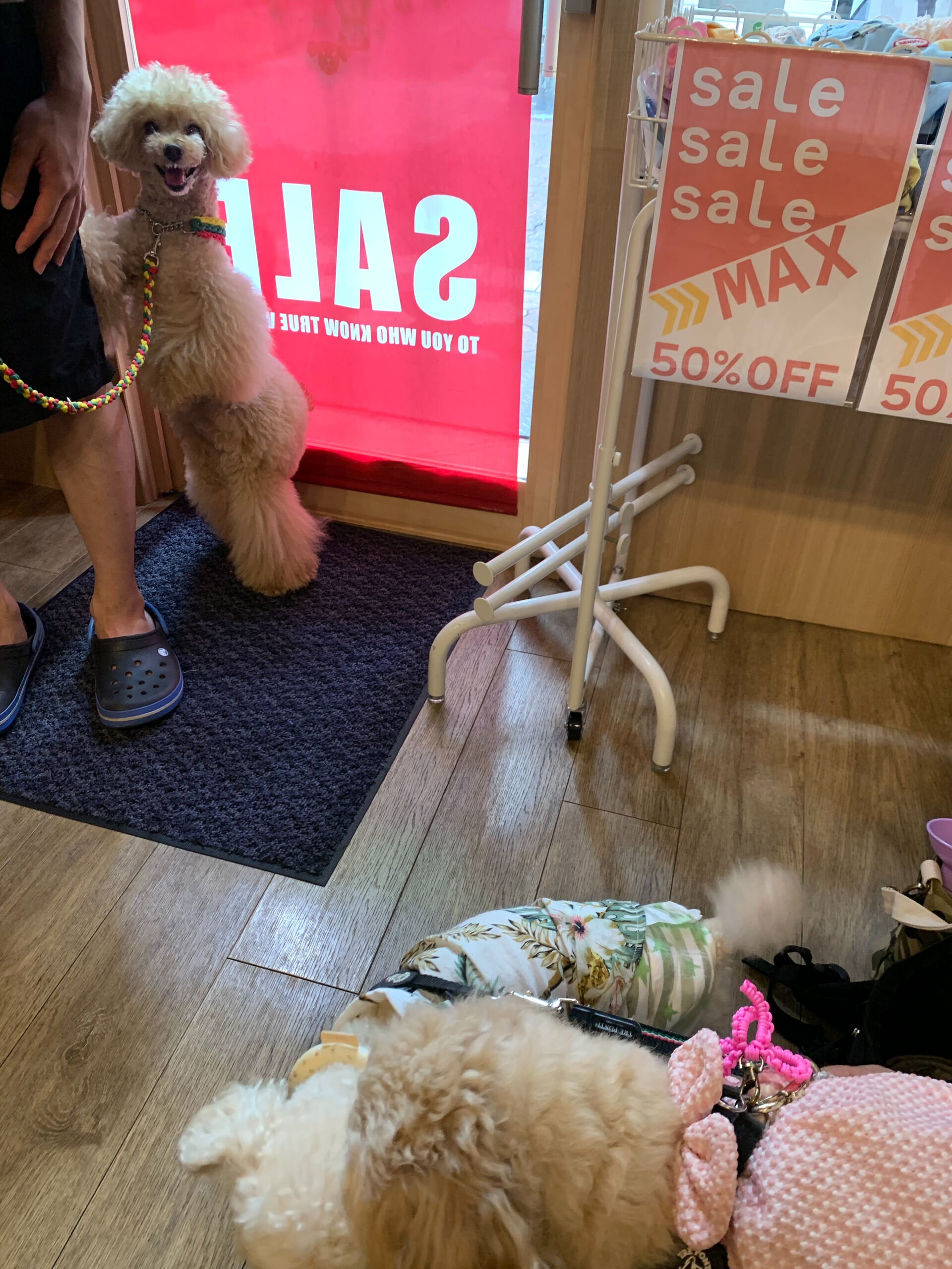 マロンちゃんご来店ありがとうございます😊