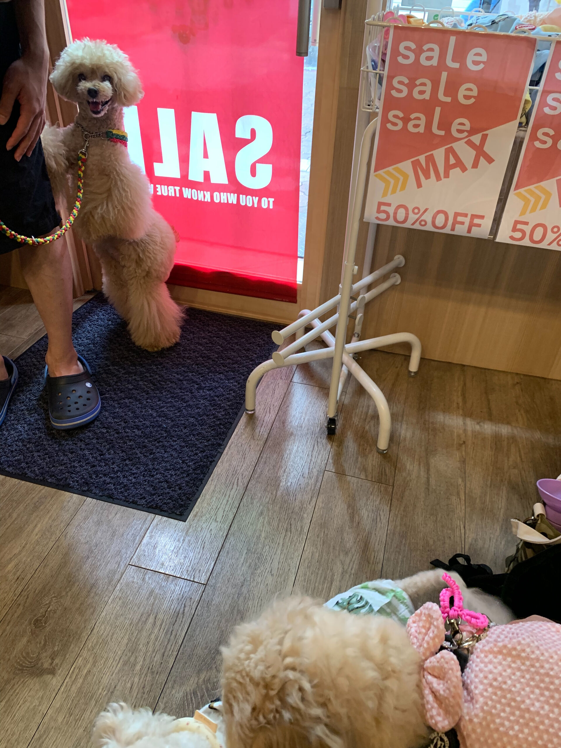 マロンちゃんご来店ありがとうございます😊