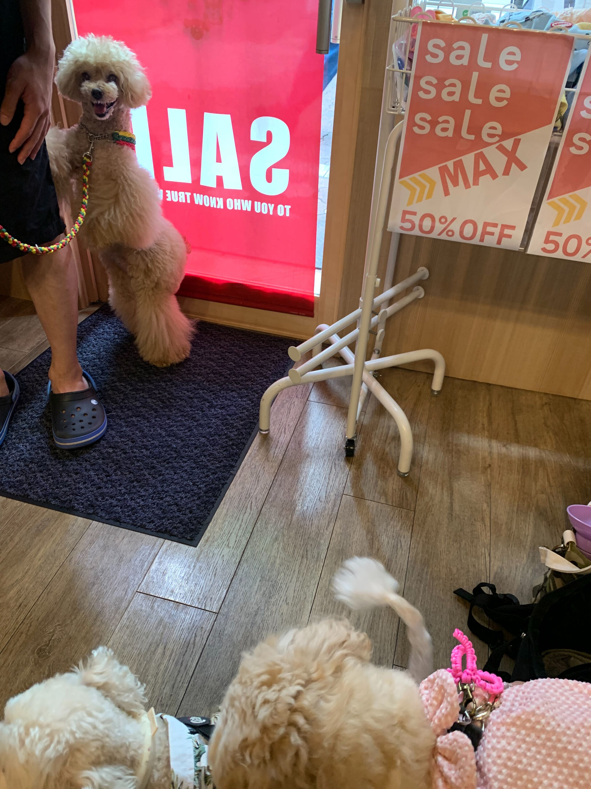 マロンちゃんご来店ありがとうございます😊