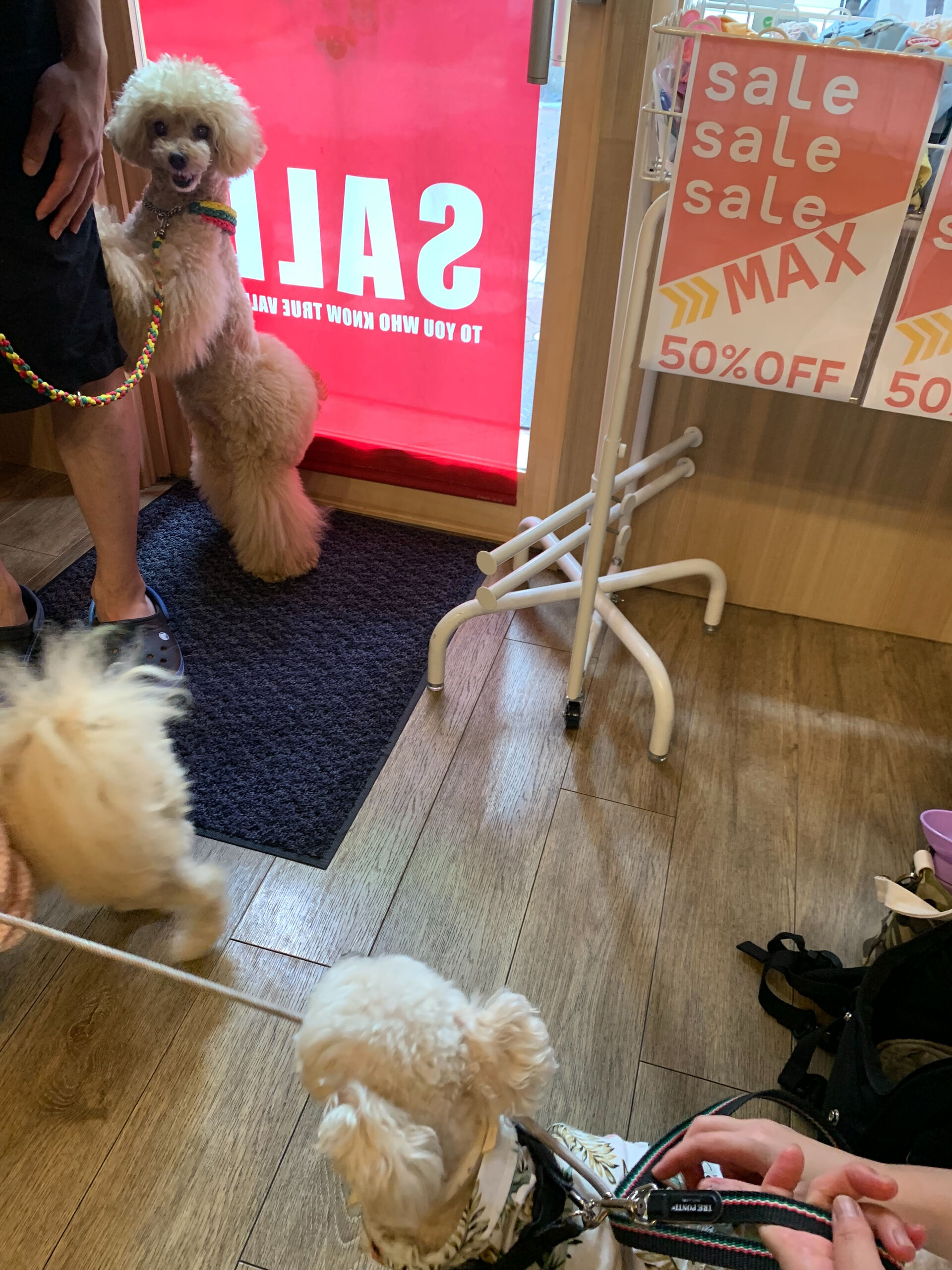 マロンちゃんご来店ありがとうございます😊